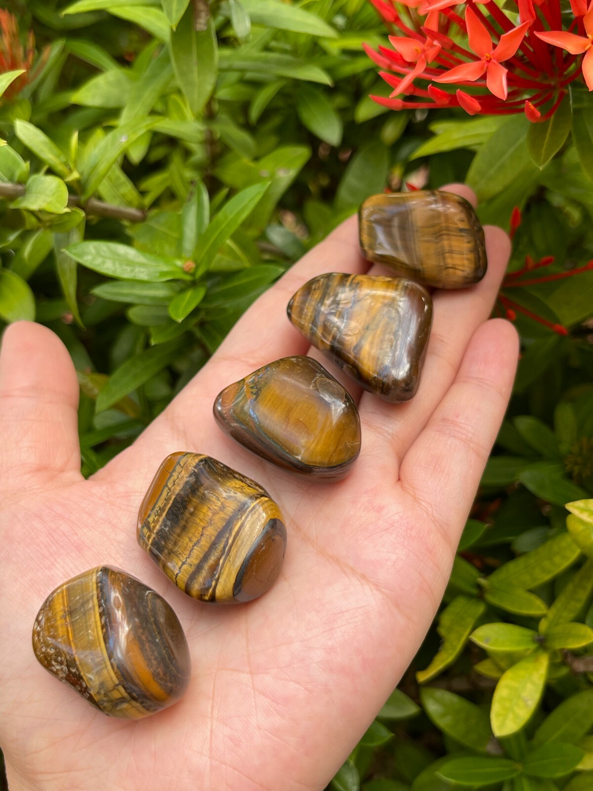 Grade A++ Gold Tiger Eye Tumbled Stones, 0.85″-1.5″ Tumbled Tiger Eye, Bulk Lot