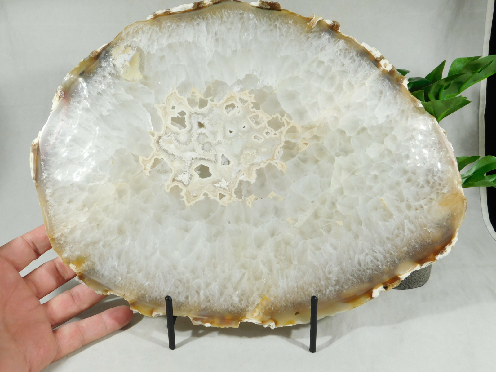 Easel Display Stand Lot of FIVE LARGE Size Black Metal