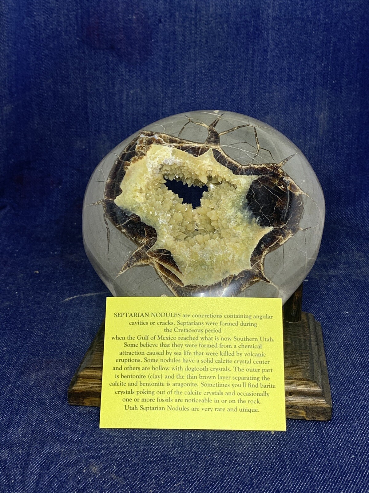 Septarian Nodule Hollow Slab ( Utah)with Stand And Description Card