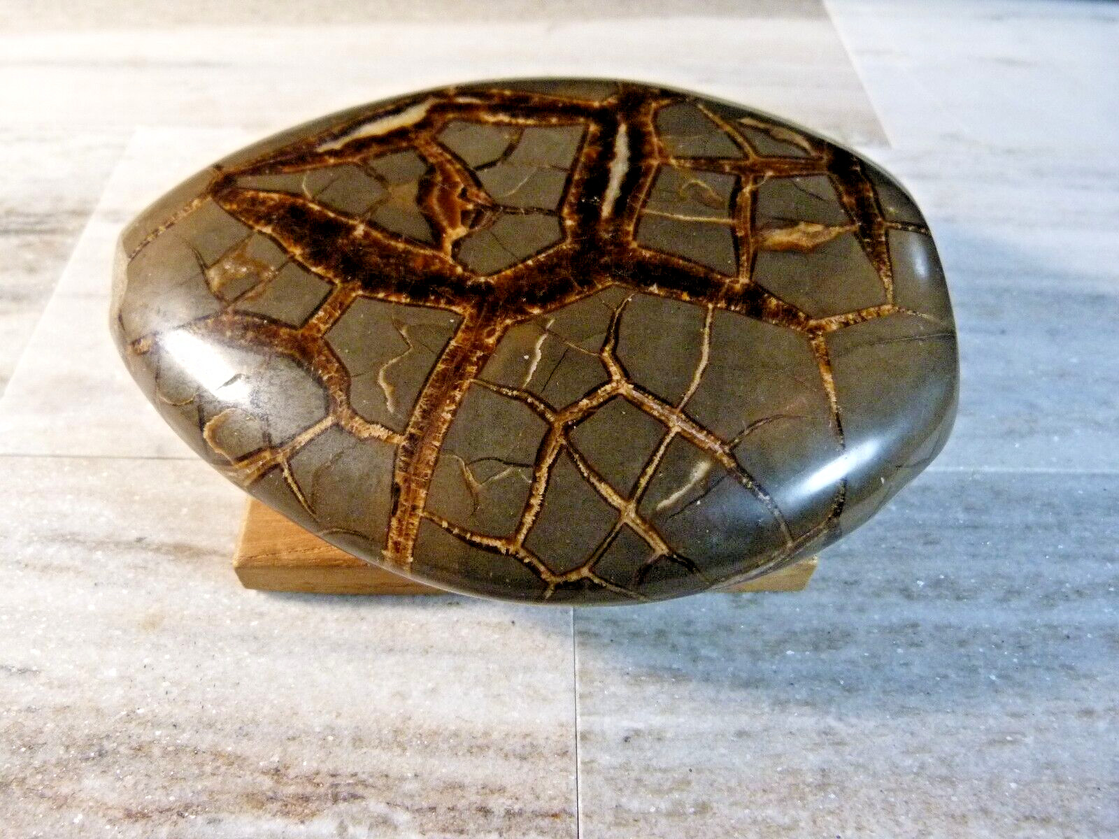 Natural Polished Septarian Geode Crystal 700g 5 1/4 Inches