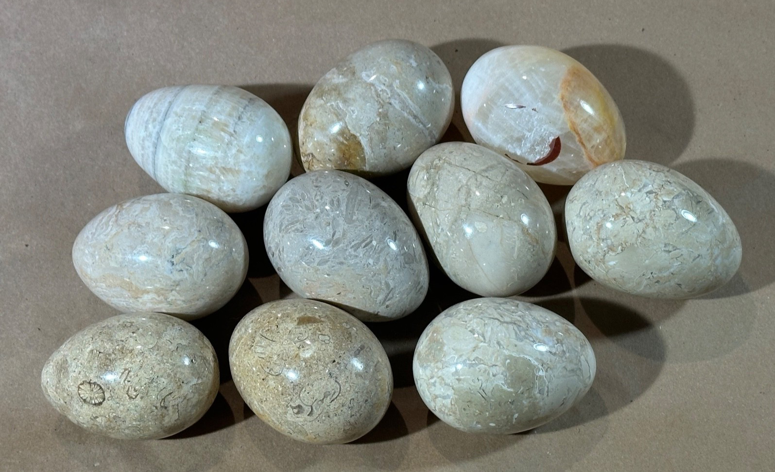 Lot of 10 Fossil Coral / Fossiliferous Limestone Polished Gemstone Eggs 2.75” –