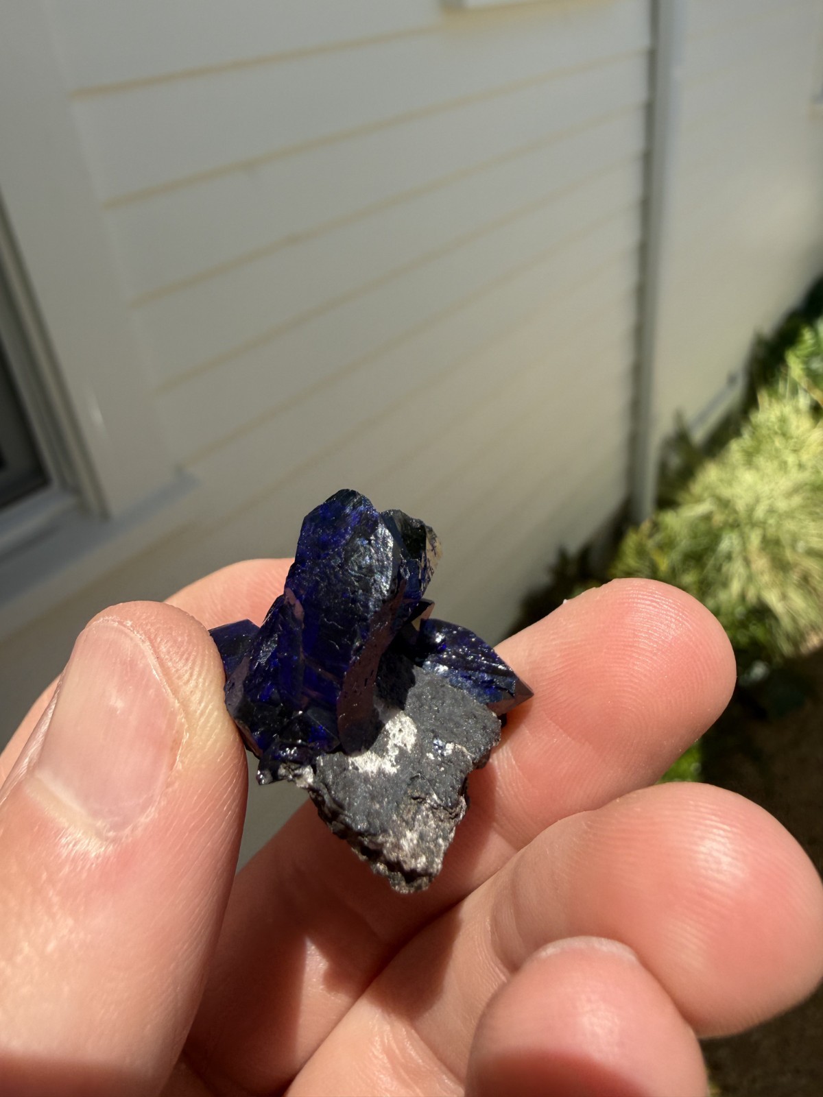 Azurite on matrix from Milpillas Mine, Mexico