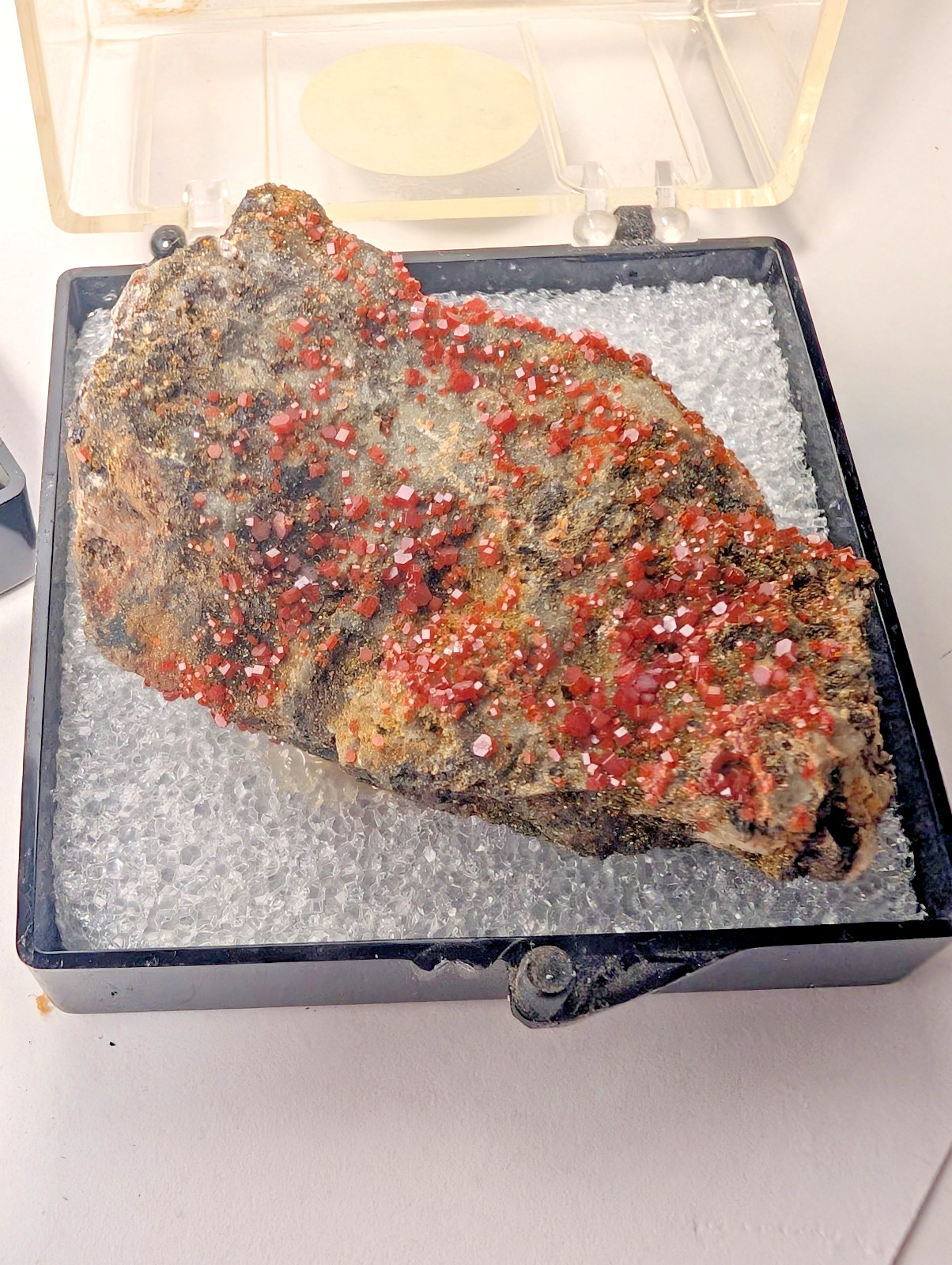 6 Piece Thumbnail Mineral Lot Celestite Vanadinite Bornite in Display Boxes