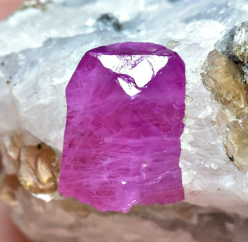 416 CT Excellent Quality Top Lustrous Ruby Crystal w/ Phlogopite Mica On Matrix