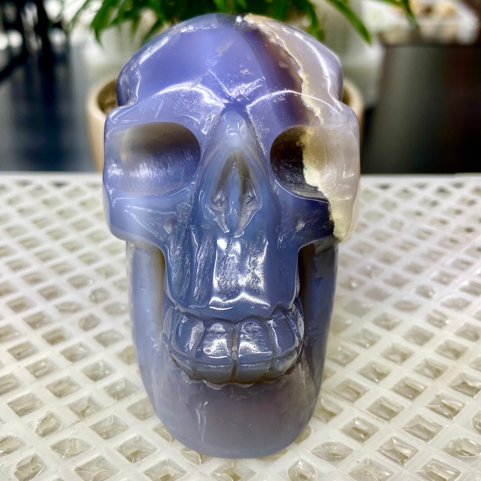 465G Natural Crystal Rare Banded Blue Flower Agate Skull Carving