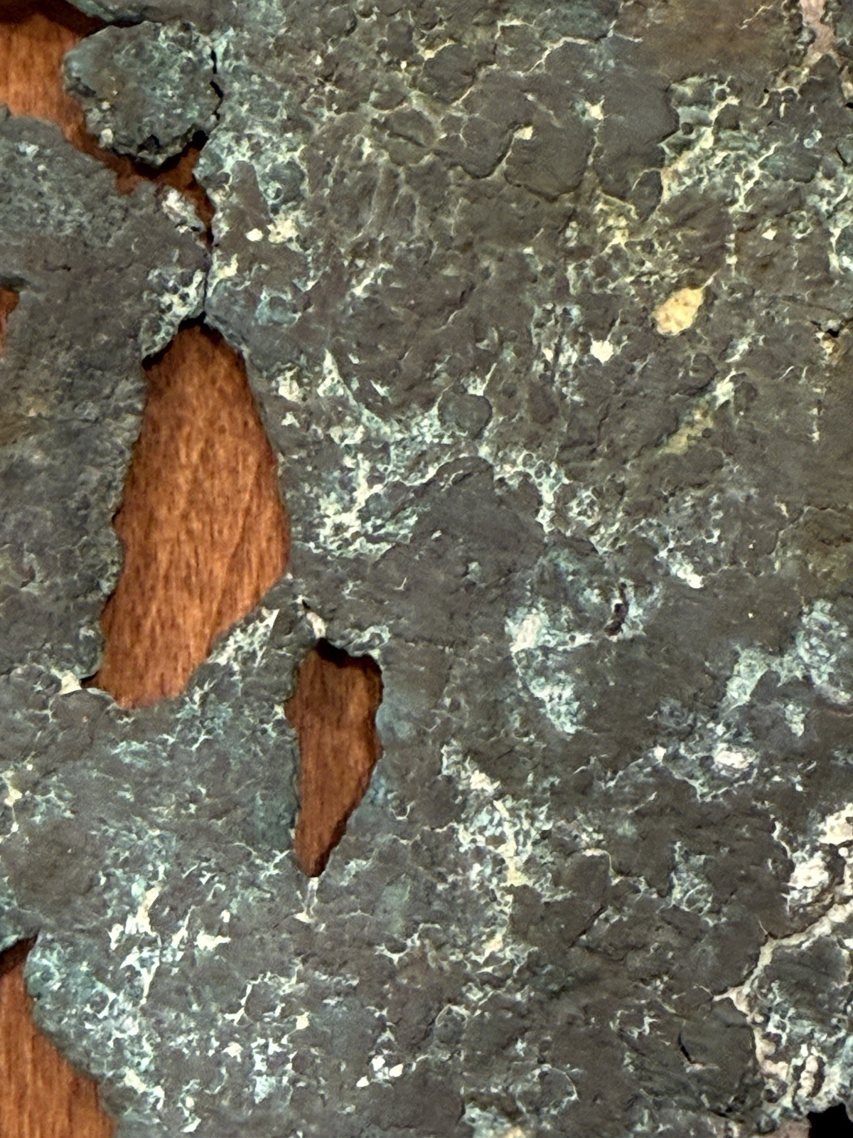15 Oz. Float Copper Specimen- 8 3/4” X 5 3/4” – Lots Of Character, Great Display