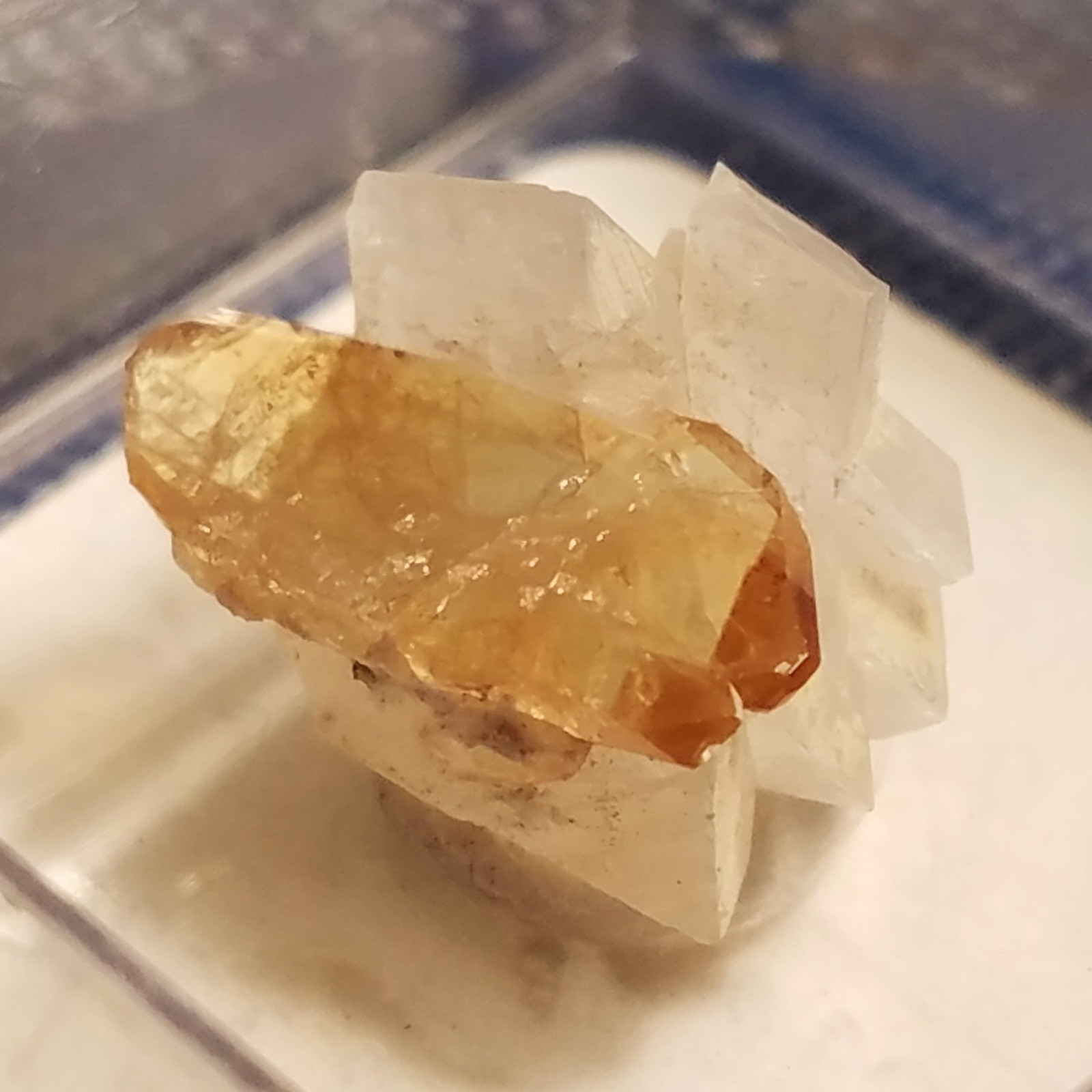 SiG: Lustrous Honey Golden Titanite Crystal on Adularia Cluster from Austria
