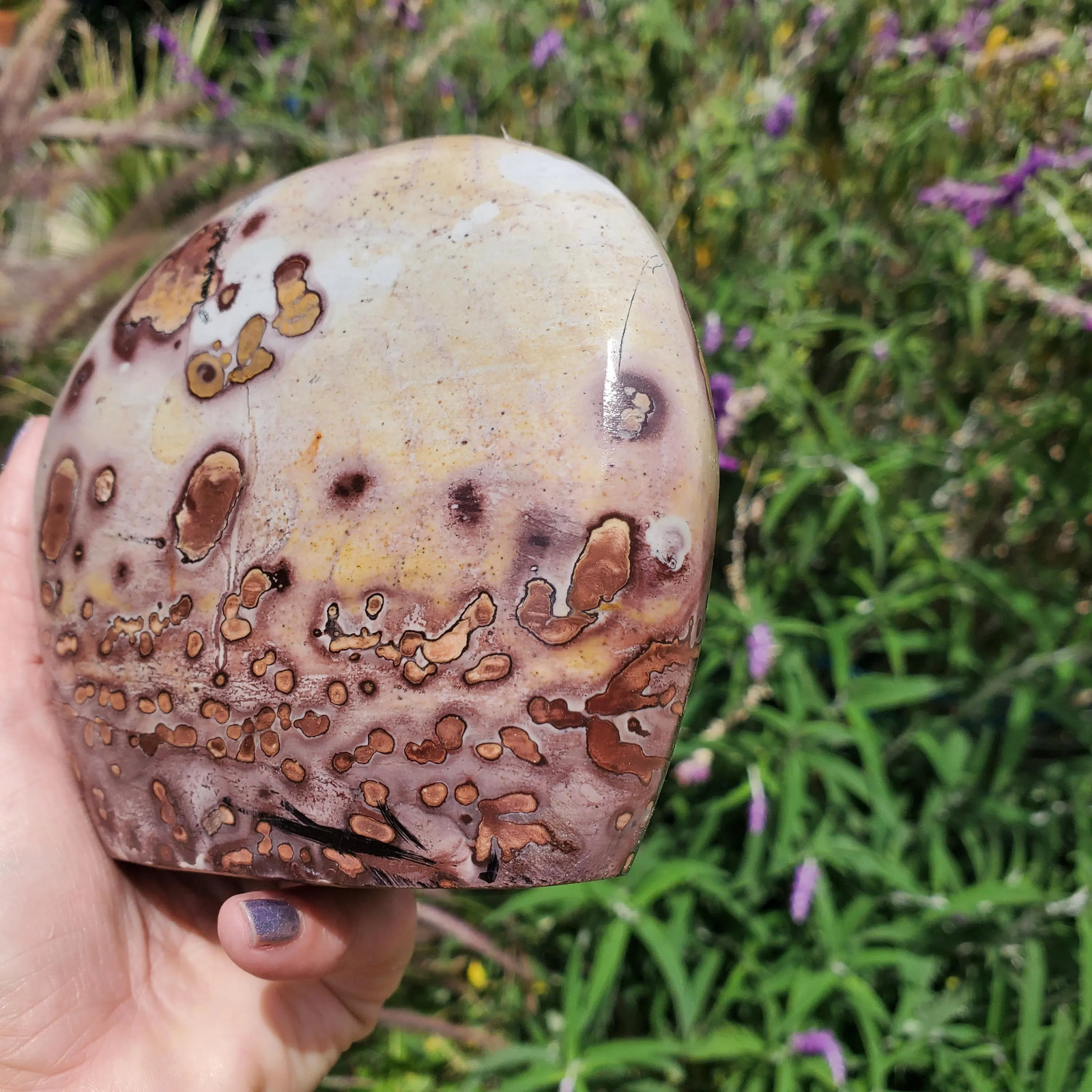 Picture Stone Jasper Dendritic Dendrite Display Freeform | 3lbs 1oz | 1330 Gram