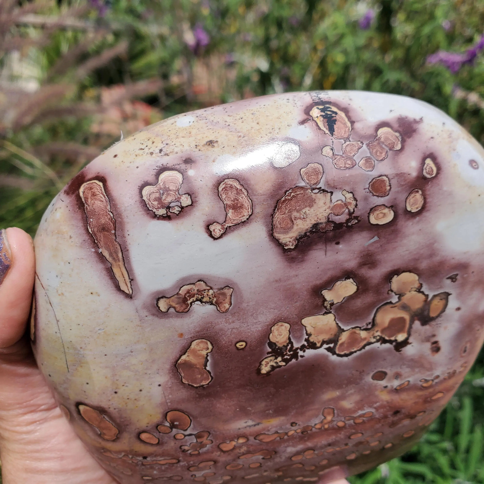Picture Stone Jasper Dendritic Dendrite Display Freeform | 3lbs 1oz | 1330 Gram