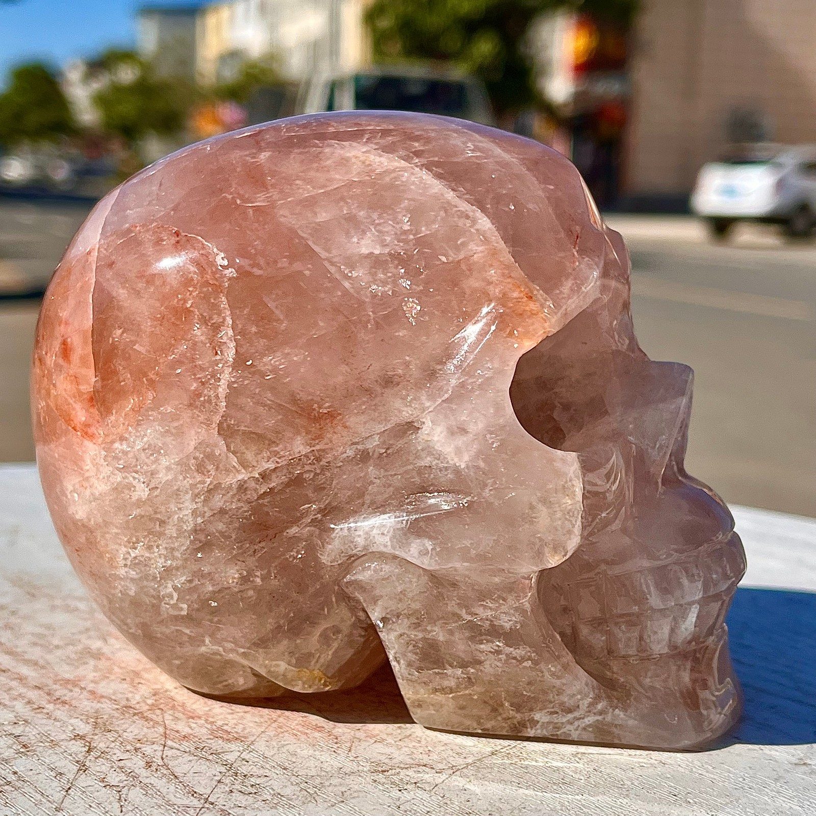 2.71LB Natural dreamy red gum flower skull hand carved skull healing