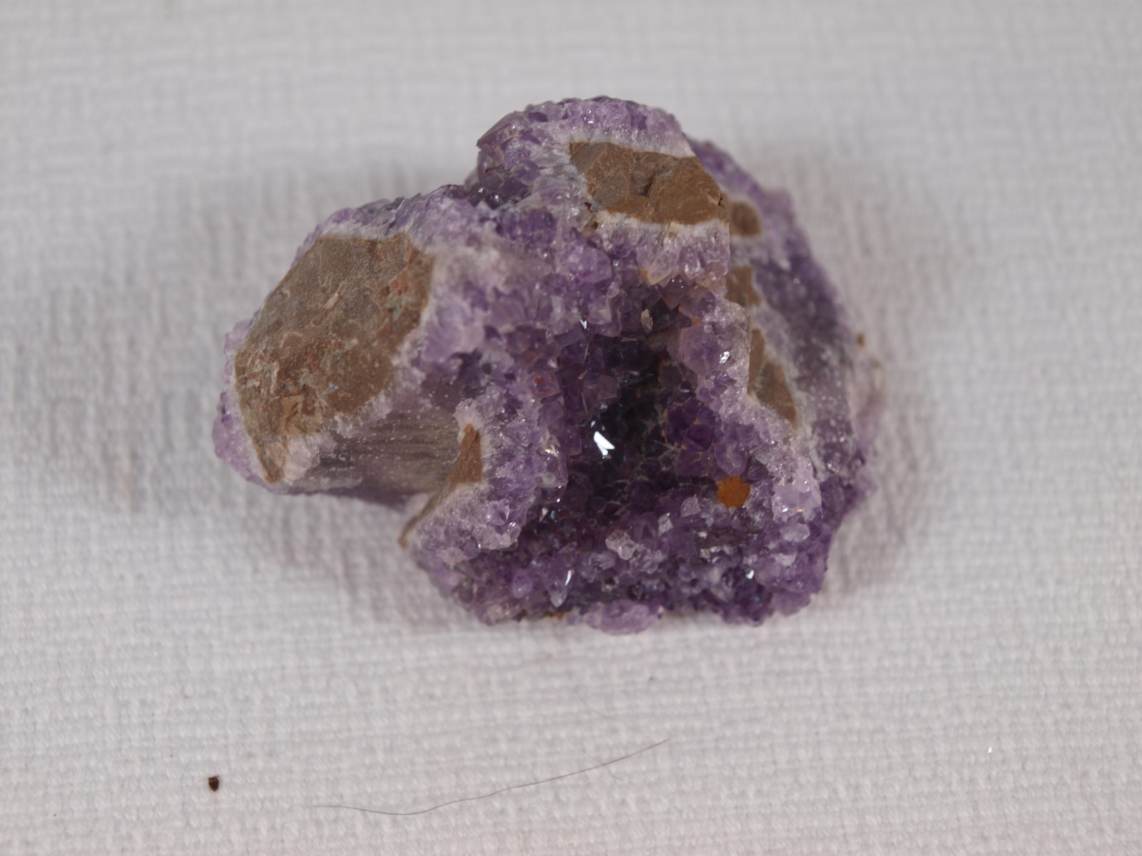 Thunder Bay Amethyst Crystal Pocket on Quartz – Self-Collected – 103.6 g