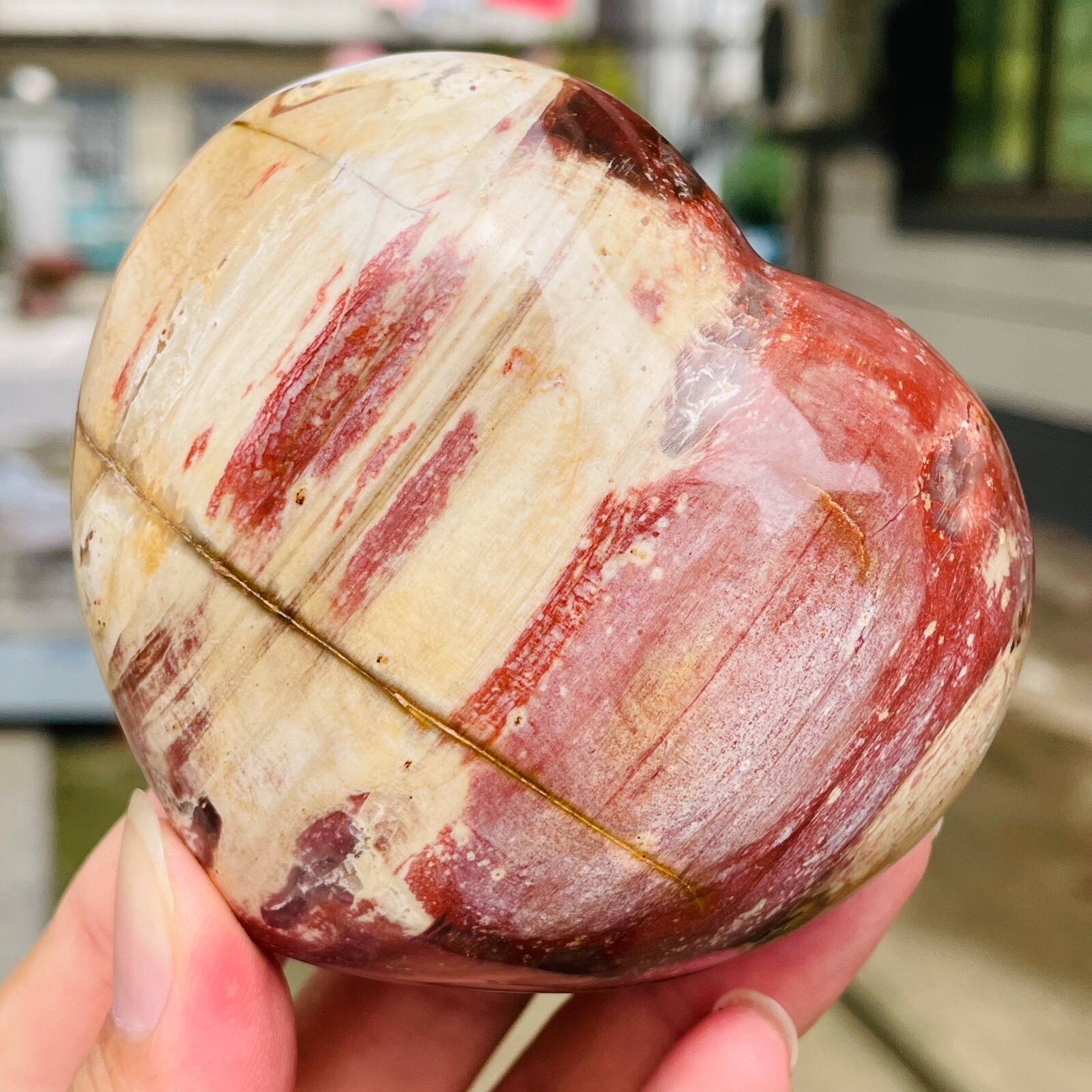 364g Natural Petrified Wood Jade Quartz Crystal Fossil Heart Shape Specimen