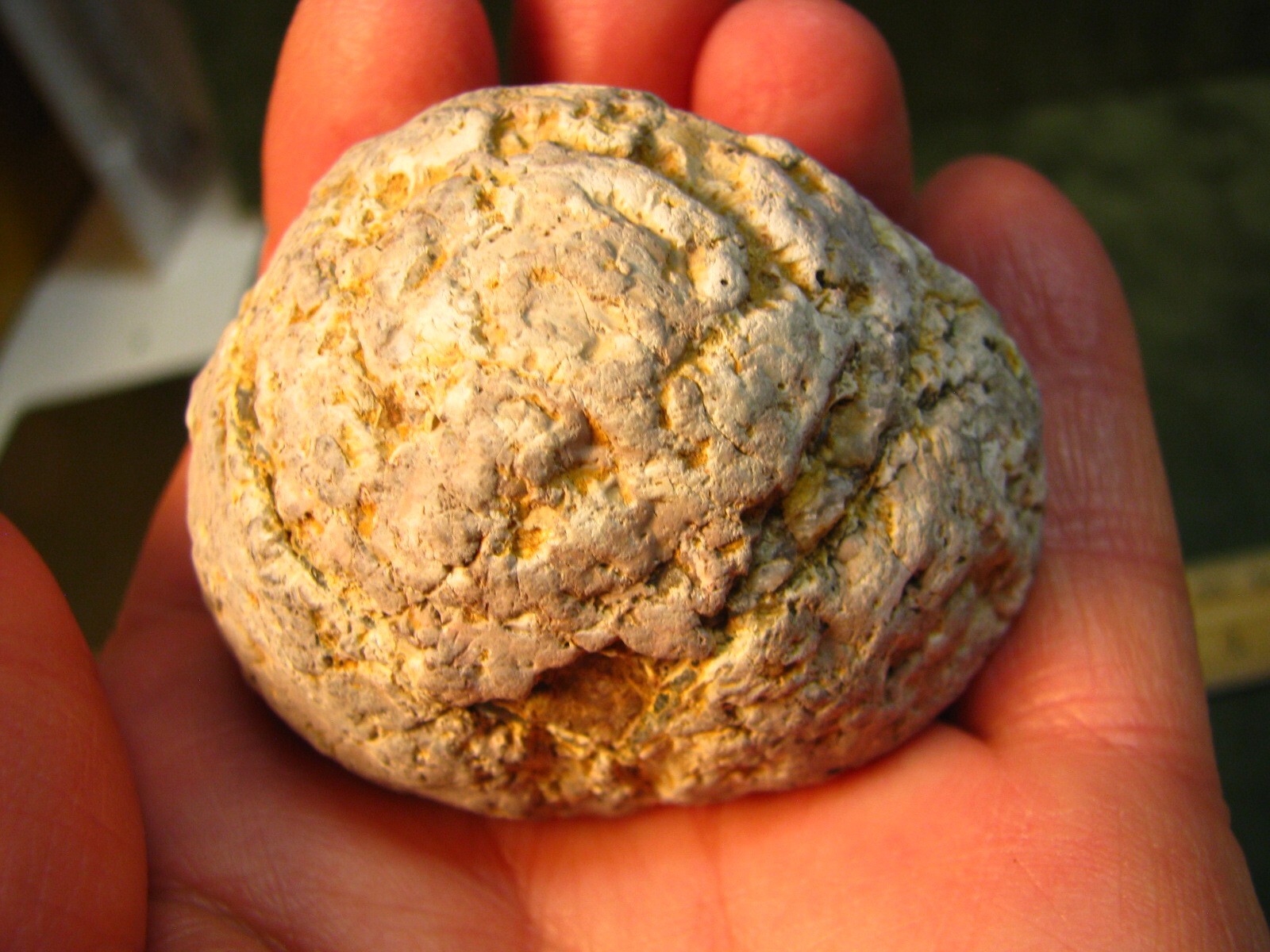 4.7oz 2.4in 133g AGATE GEODE HALF QUARTZ CRYSTALS NOT POLISHED #307