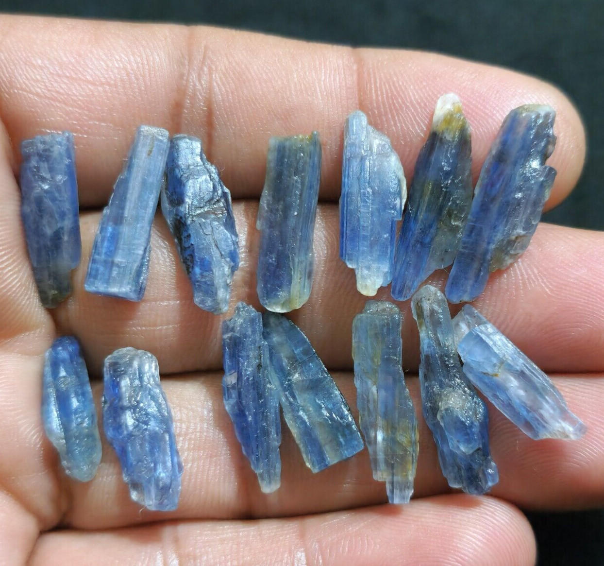 Amazing Quality Blue Kyanite Raw 14 Pcs Lot Size 18-23 MM Huge Loose Gemstone