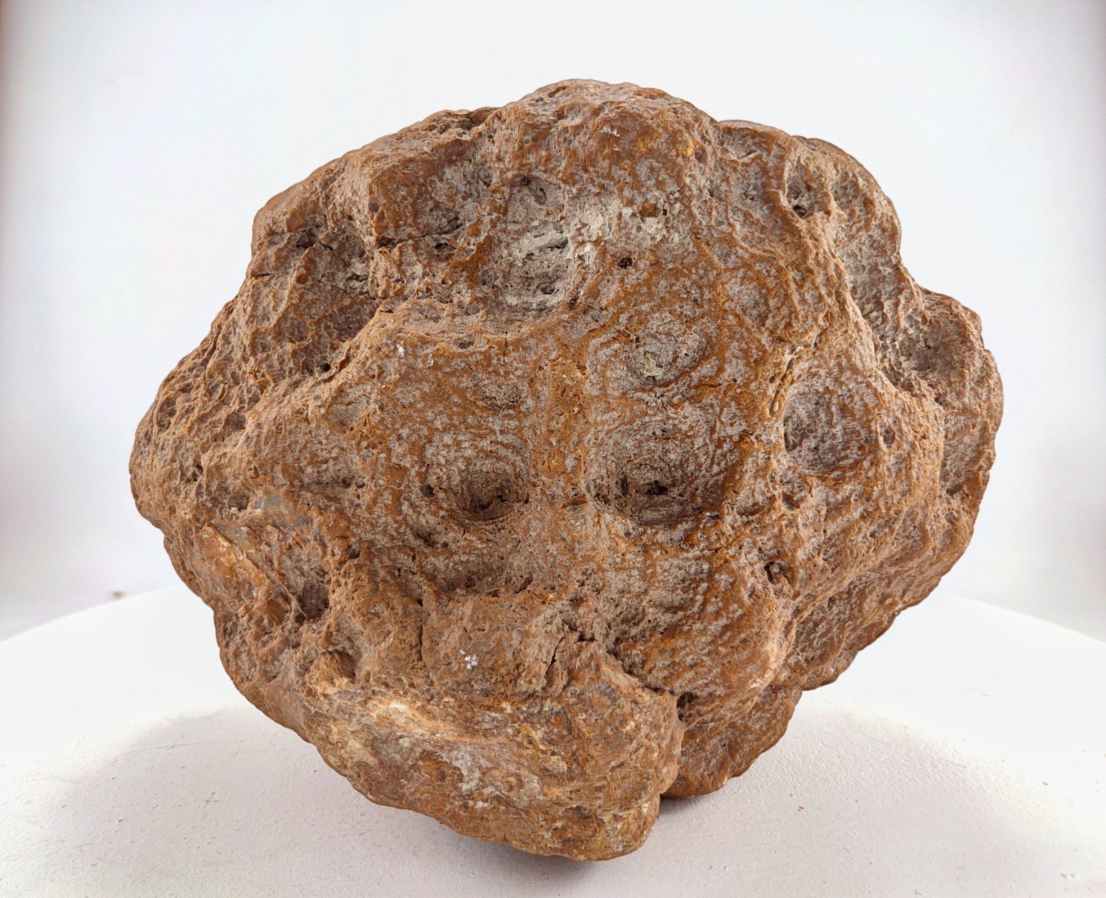 8″ Unopened Geode Nodule Round Bumpy Exterior Kentucky Quartz Crystal 8.4 LB
