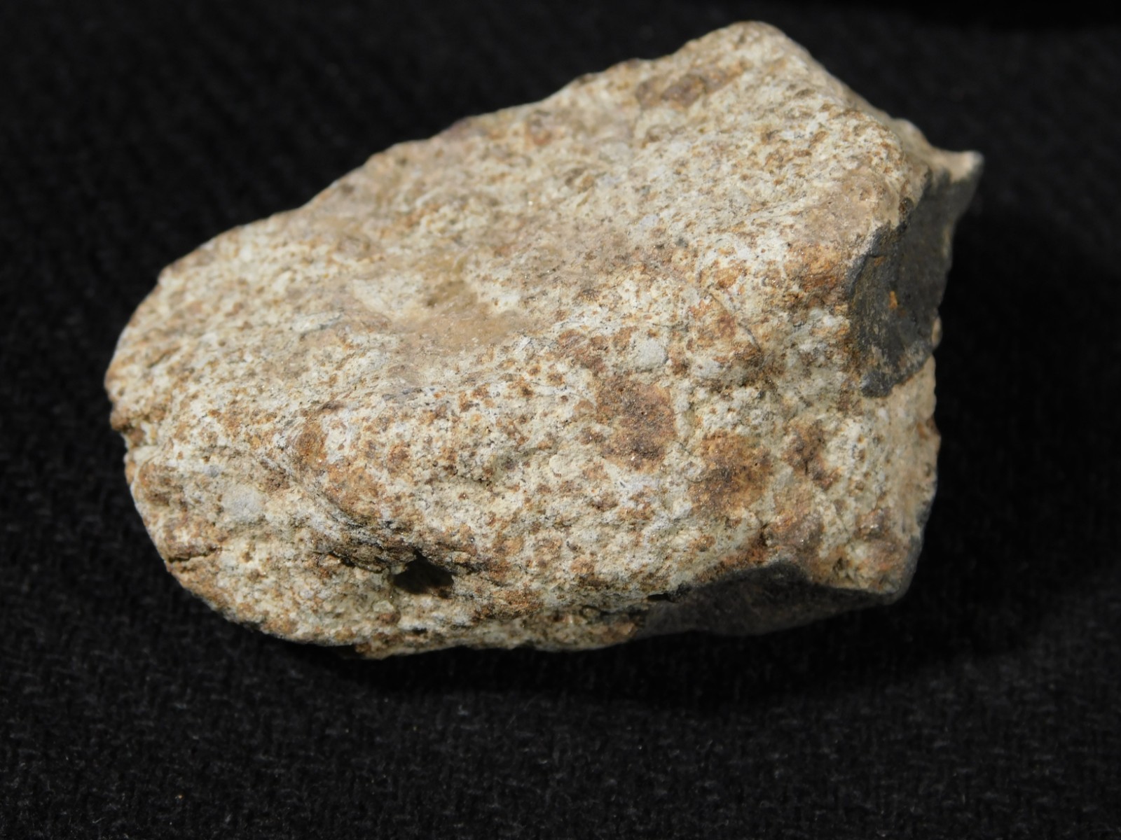 Classified NWA 8245 METEORITE 100% Natural FELL on Erfoud, Morocco 68.1gr