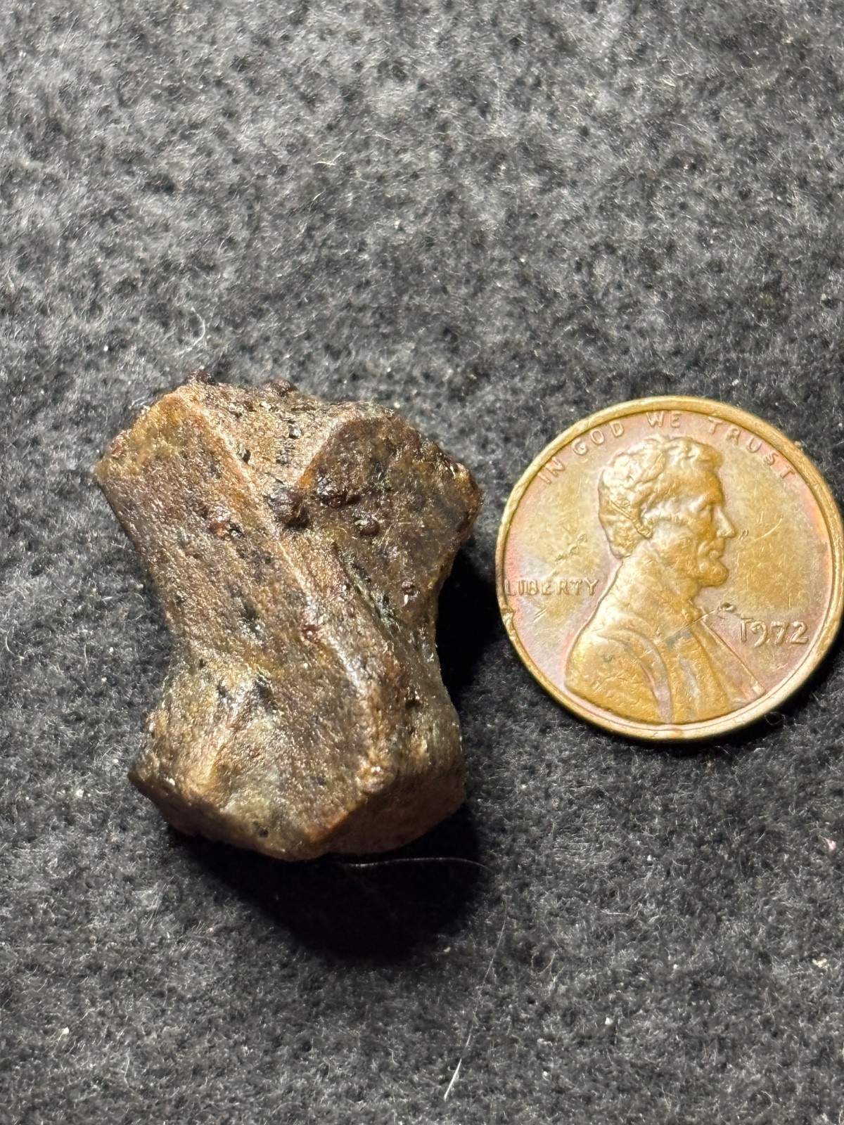 Five Large Staurolite Fairy Cross Crystals Lot 5 North Georgia Natural Specimens