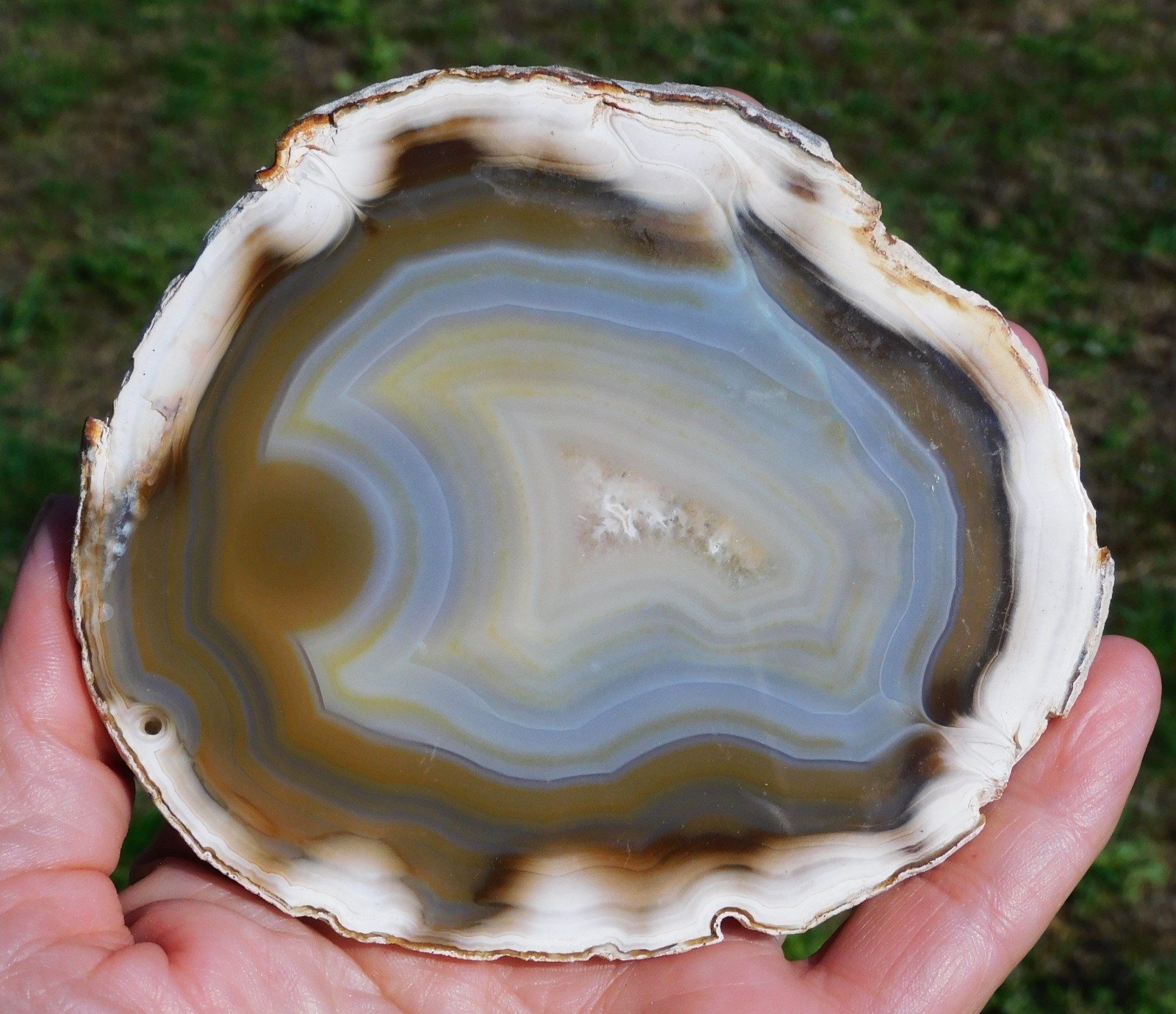 Mexican Agate Not Dyed Polished Natural Stone Specimen