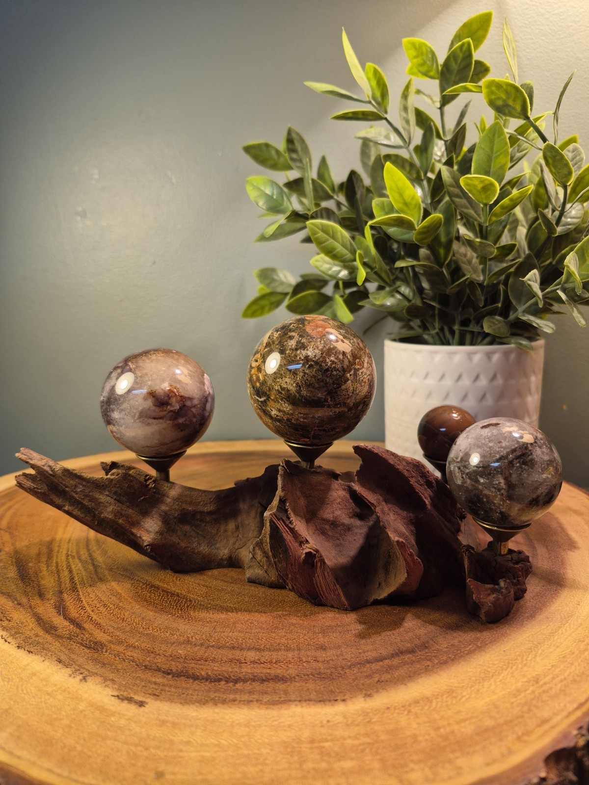 Drift Wood Sphere Holder XS – MED 4 Spheres