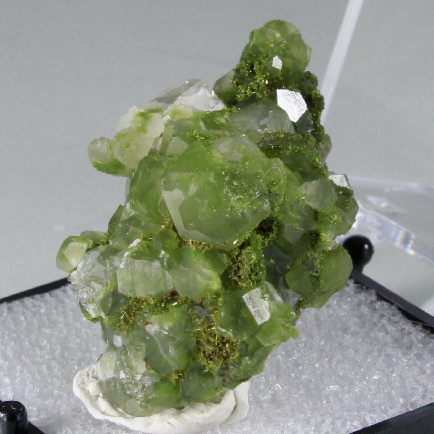 Top Quality “Fairy Forest” EPIDOTE & QUARTZ Cluster – Hakkari, Turkey