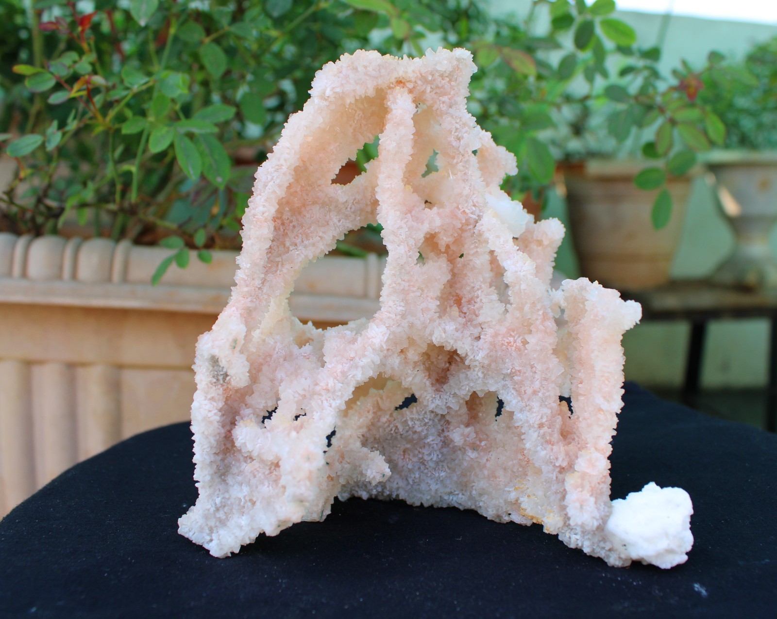 Apophyllite Crystals With Chalcedony Coral Minerals Specimen #A9