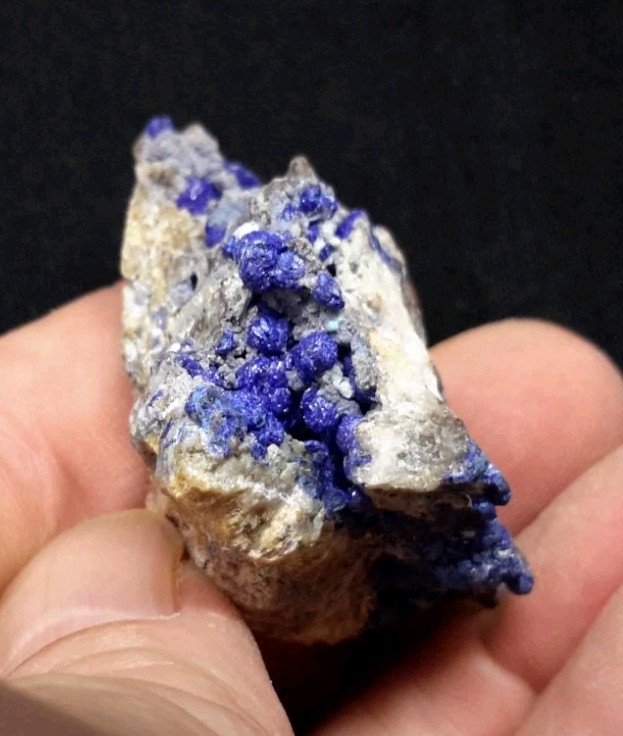 12 Piece AZURITE with QUARTZ and FLUORITE from Sierra Rica, Chihuahua, Mexico