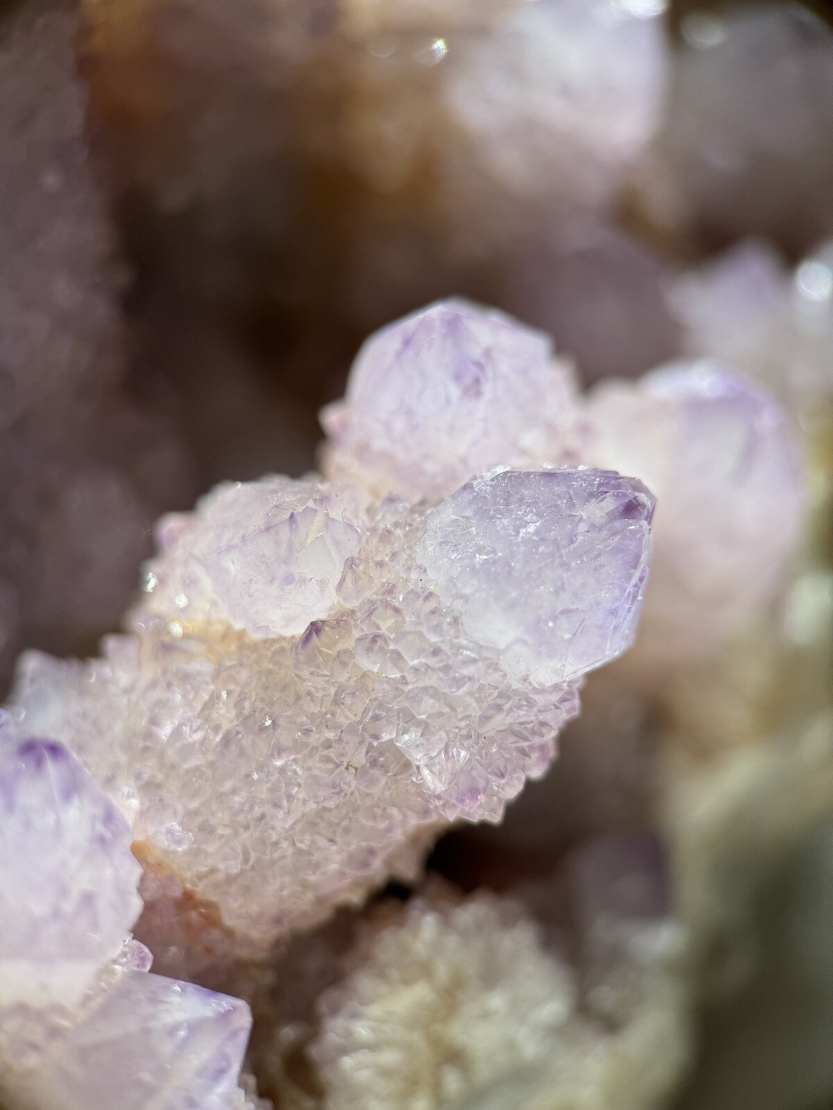 High Grade XXL (5.7lbs) Long Finger Deep Lavender Spirit Cactus Quartz cluster
