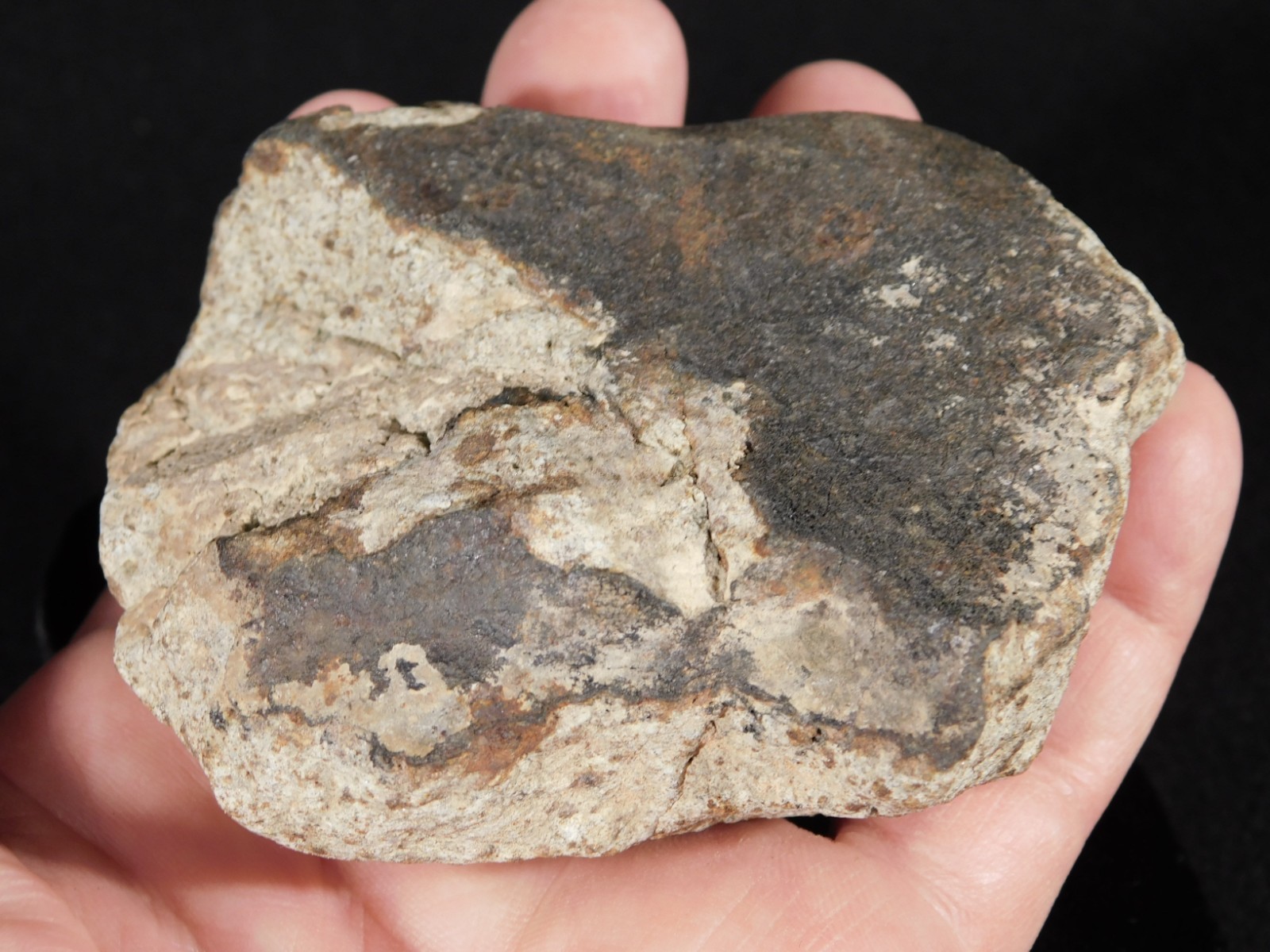 Larger! CLASSIFIED NWA 8245 METEORITE with Dark Fusion Crust Erfoud, Morocco 471