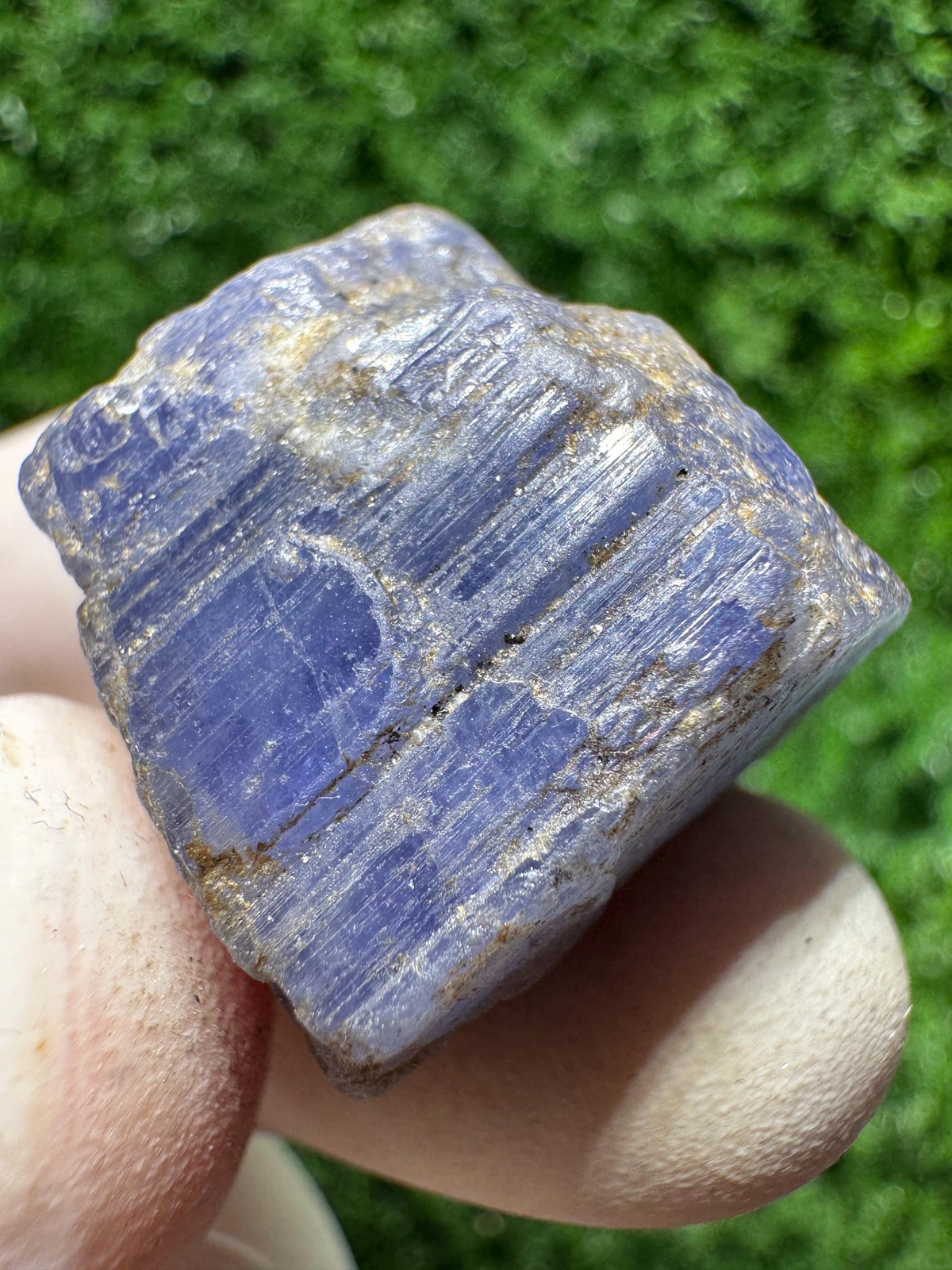 WOW! TANZANITE Crystal with COLOR Change under yellow/white light / N438