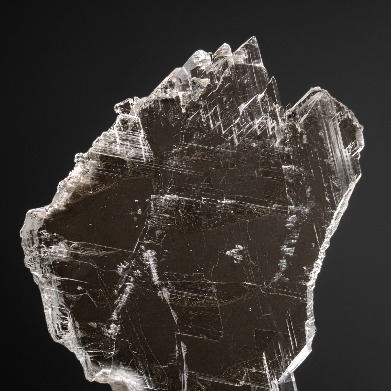 Gypsum Var. Selenite on Matrix from Rio Grande do Sul, Brazil (11.5 lbs)