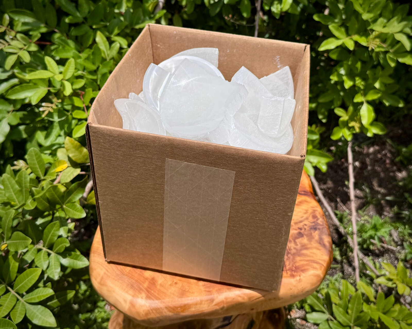 Broken Selenite Bowls Box – CLEARANCE Assorted Selenite Crystal Bowls & Pieces