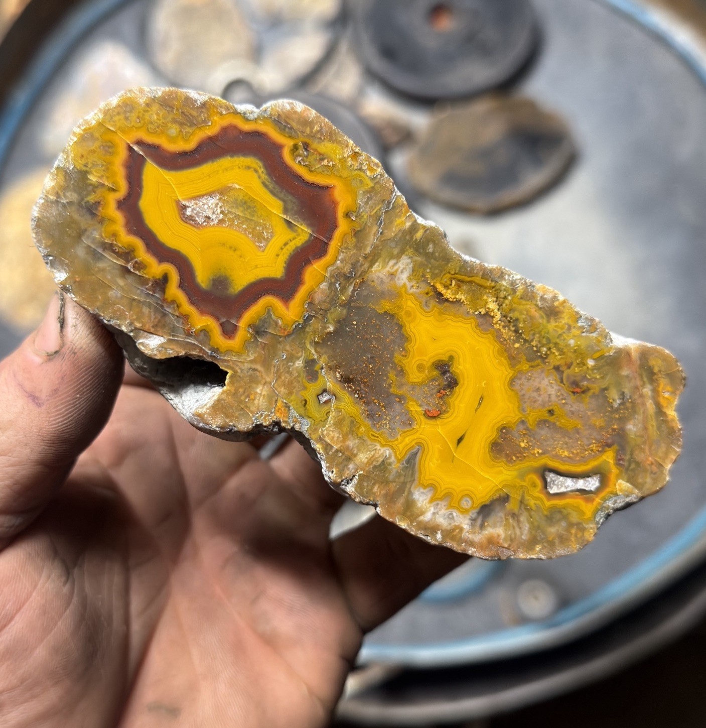 Top Shelf Purple Yellow Agate From Kentucky – Old Stock Mirror Polish Specimen
