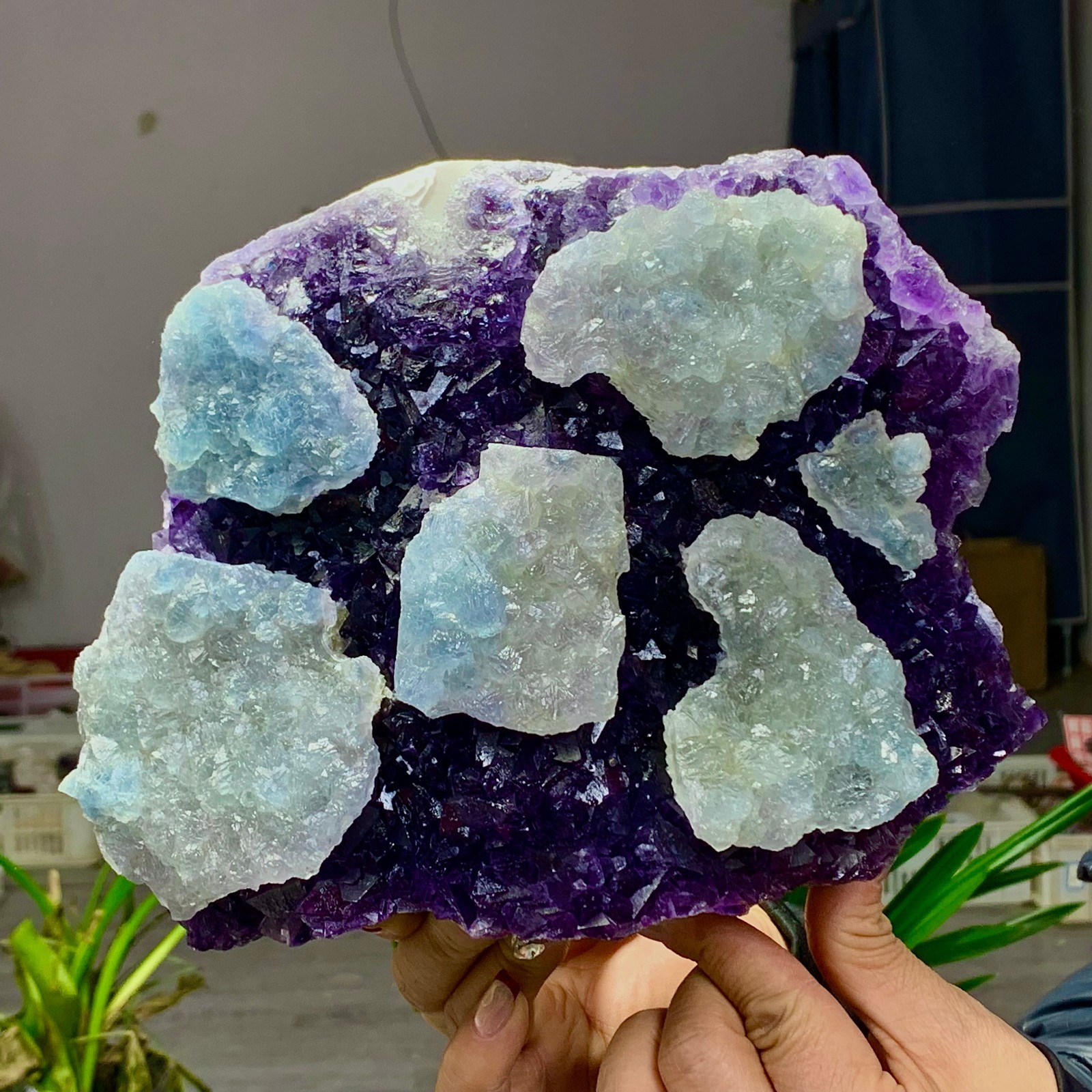 8.6LB Rare Purple Green blue cubic fluorite mineral crystal sample/Zhejiang
