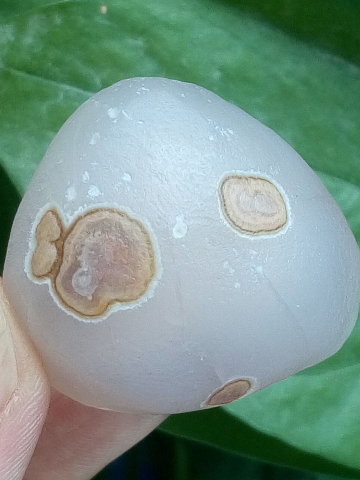 36mm Natural GoBi agate eye agate stone Polishing collection