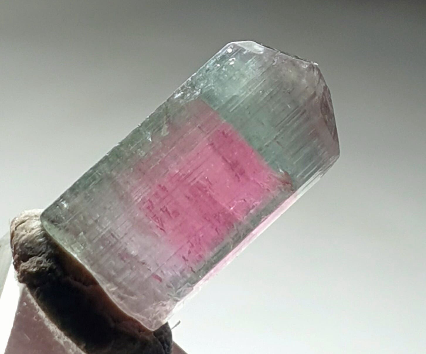 Saturated Bi Color Terminated Tourmaline Crystal From Afganistan 🇦🇫