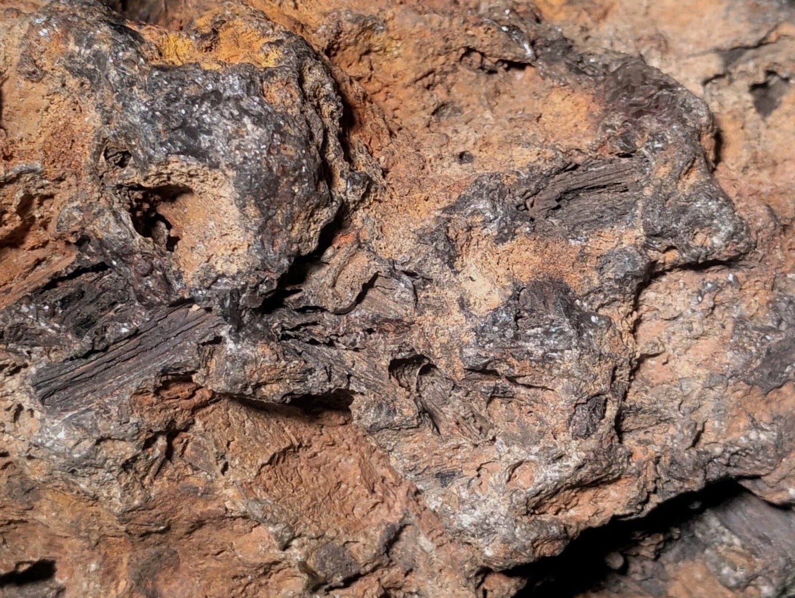8″ Rare Missouri Iron-Aged Fossil Wood in Smoky Chalcedony – Knob Creek