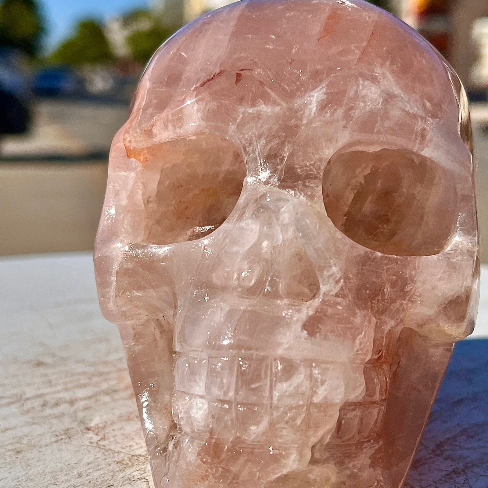2.71LB Natural dreamy red gum flower skull hand carved skull healing