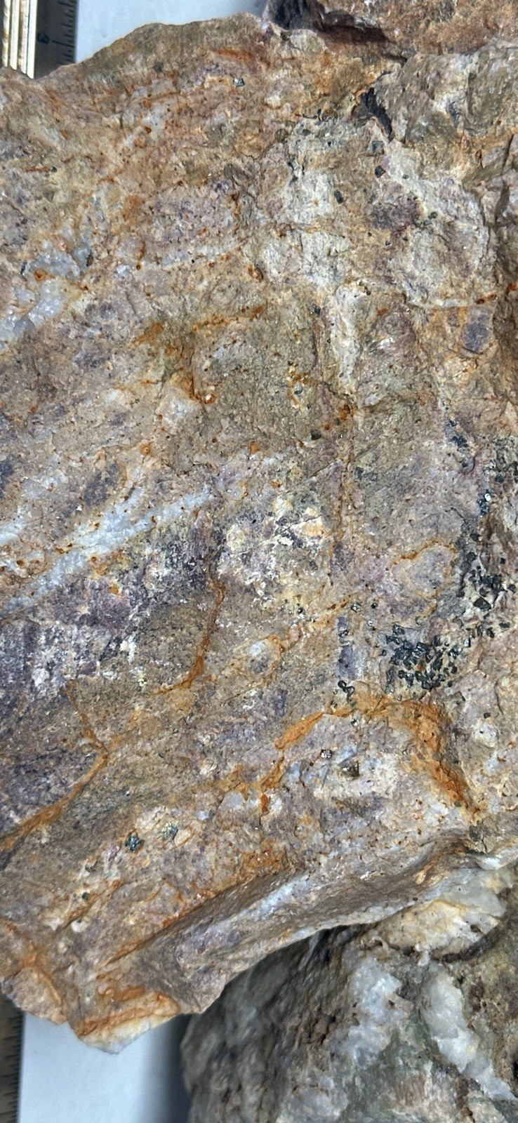 Plumas County Northern Sierra Gold Ore, Priced Right & Visible Gold + Minerals
