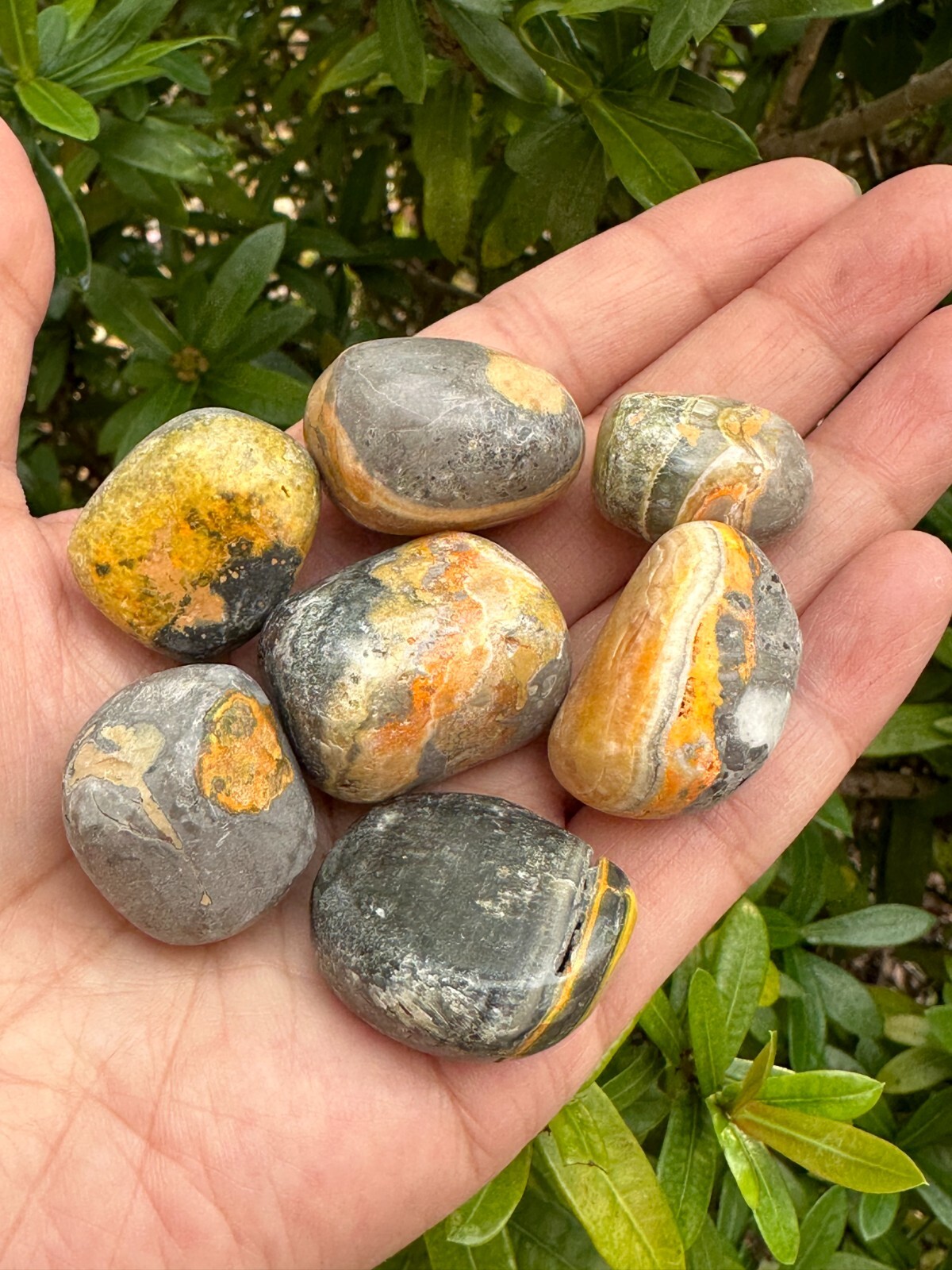 Grade A++ Bumblebee Jasper Tumbled Stones, 0.75-1.25″ Tumbled Bumblebee Jasper