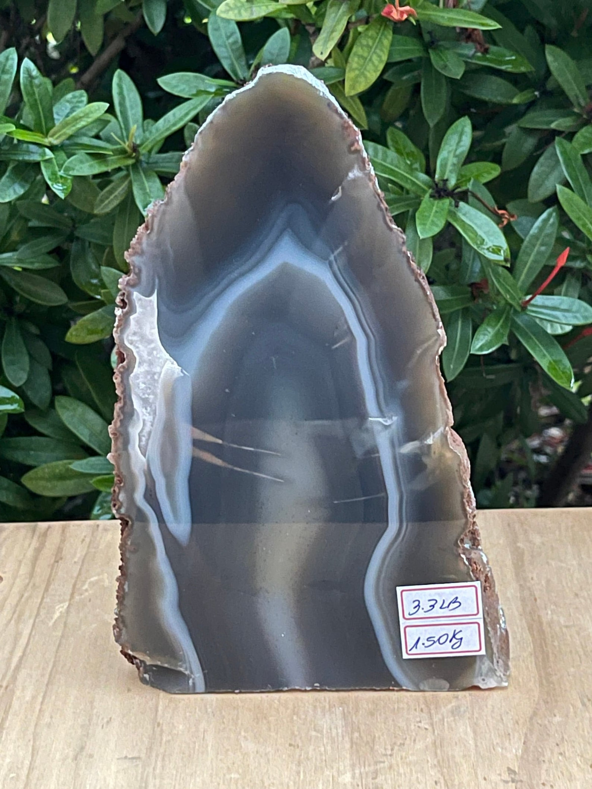 X-Large Polished Agate Geode, Agate Slice w. Cut Base or Self Standing,Pick Size
