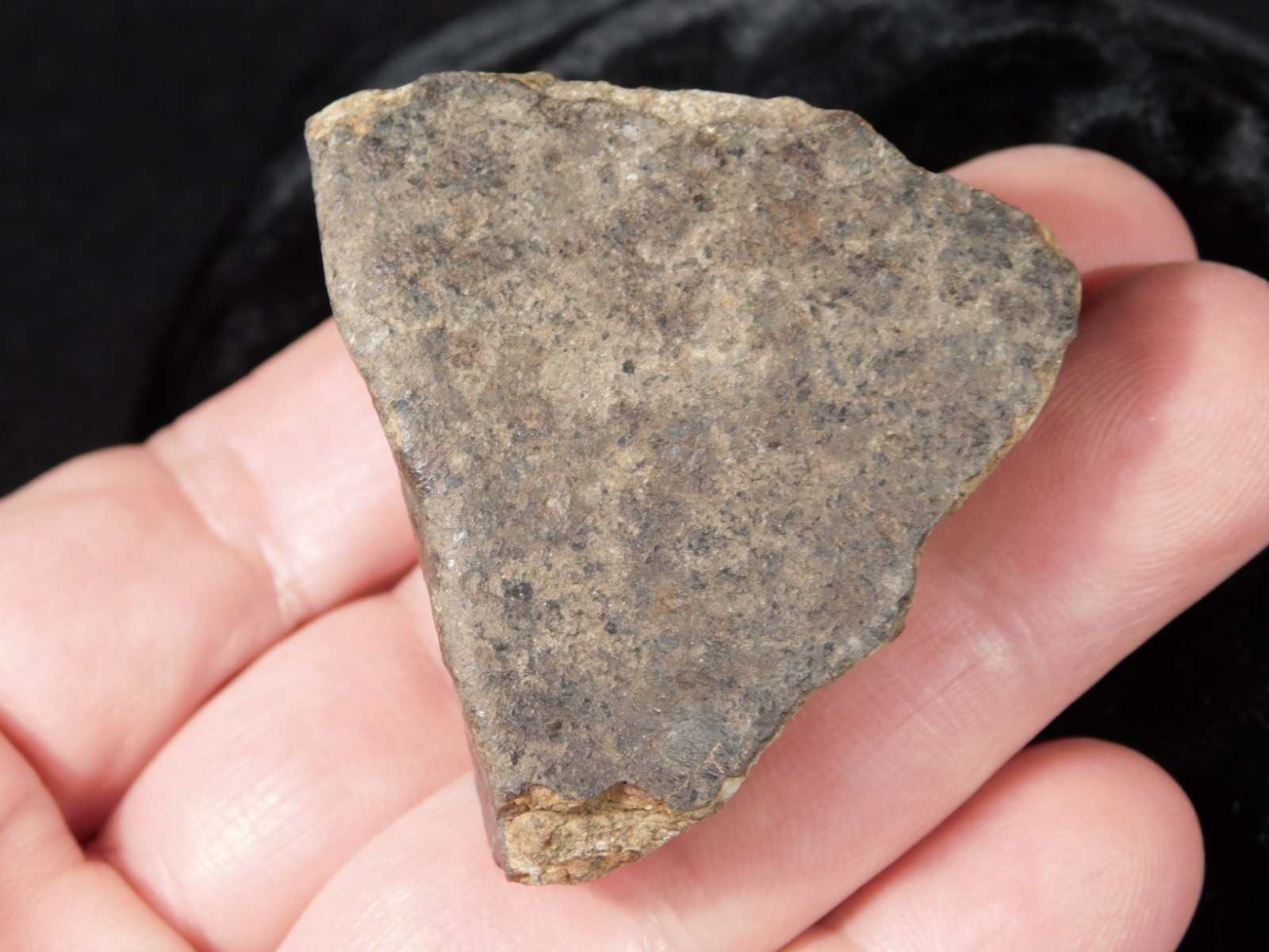 Classified NWA 8245 METEORITE Spots of Dark Fusion Crust! Erfoud, Morocco 74.5gr
