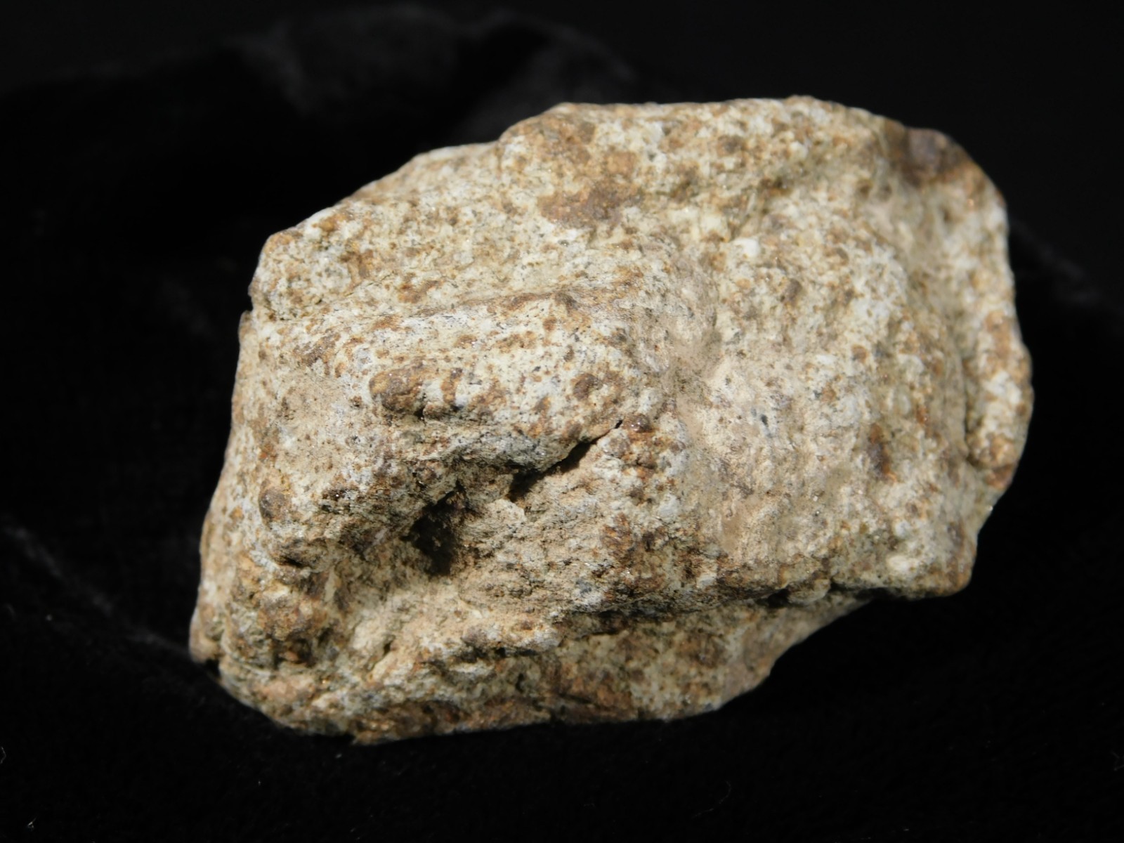 Classified NWA 8245 METEORITE 100% Natural FELL on Erfoud, Morocco 68.0gr