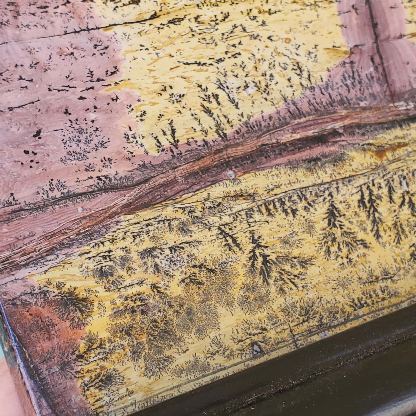 Picture Jasper Dendritic Display Crystal Statement Slab 738 grams