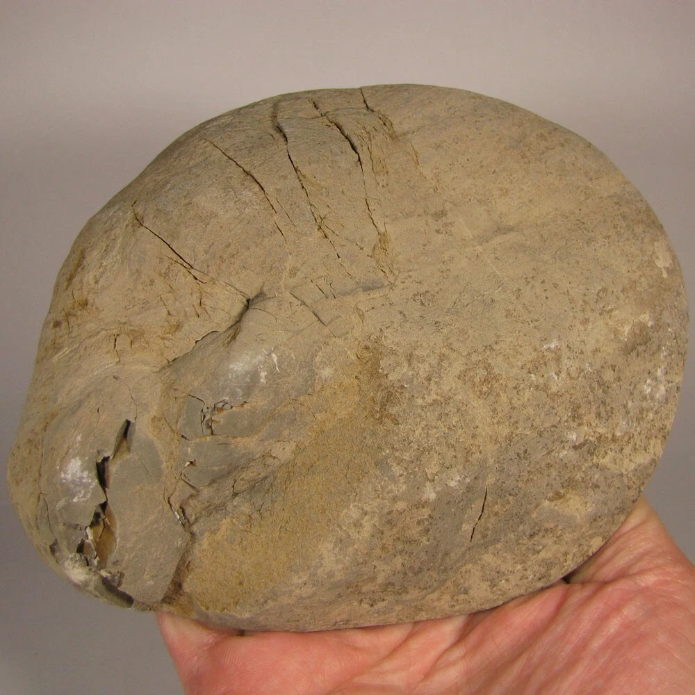 6″ Polished SEPTARIAN GEODE End Slab – Utah – 1.7 lbs.