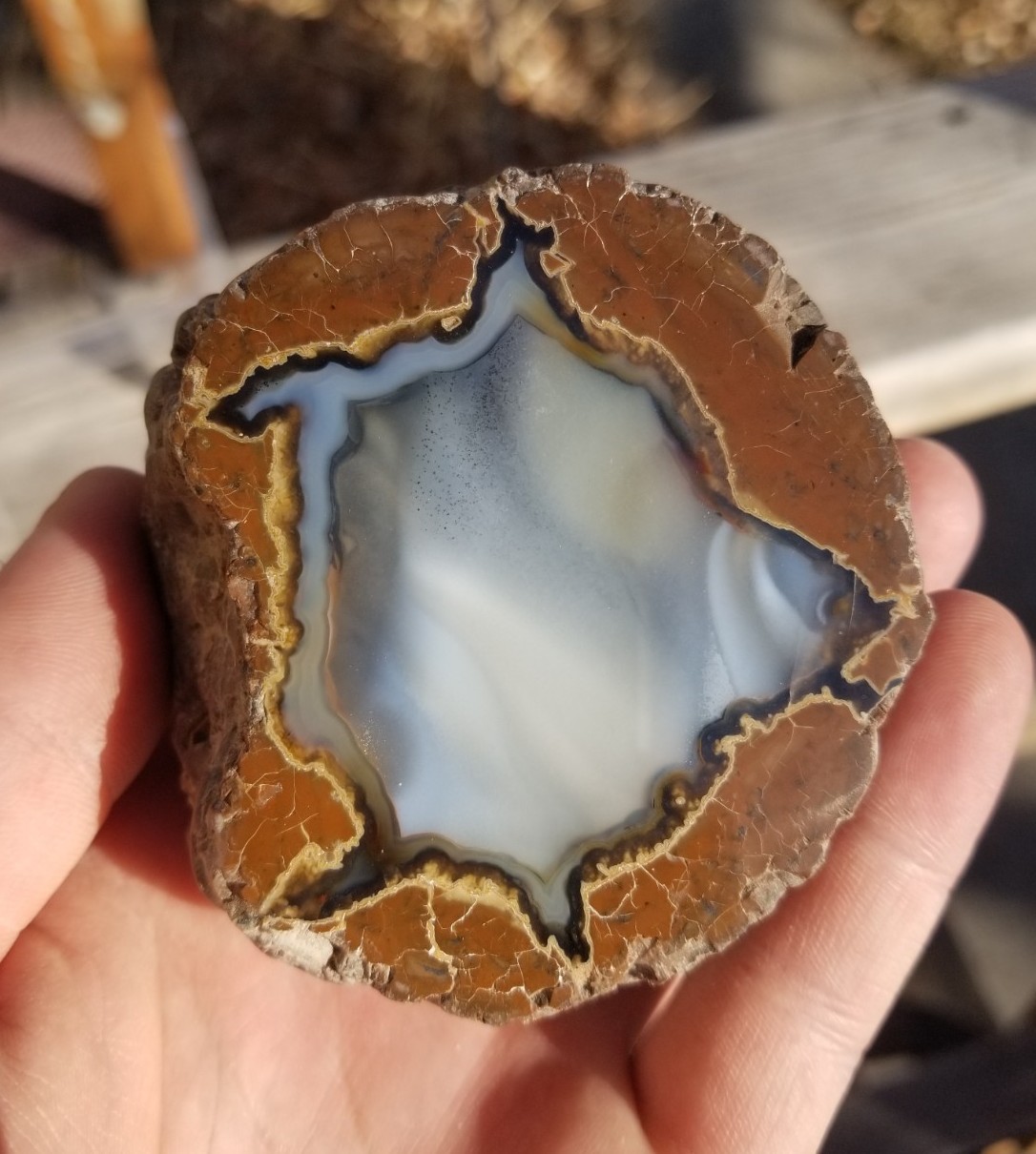 Nice Richardson Ranch Thunder Egg Geode 3″ Polished Half Specimen Opaque Banding