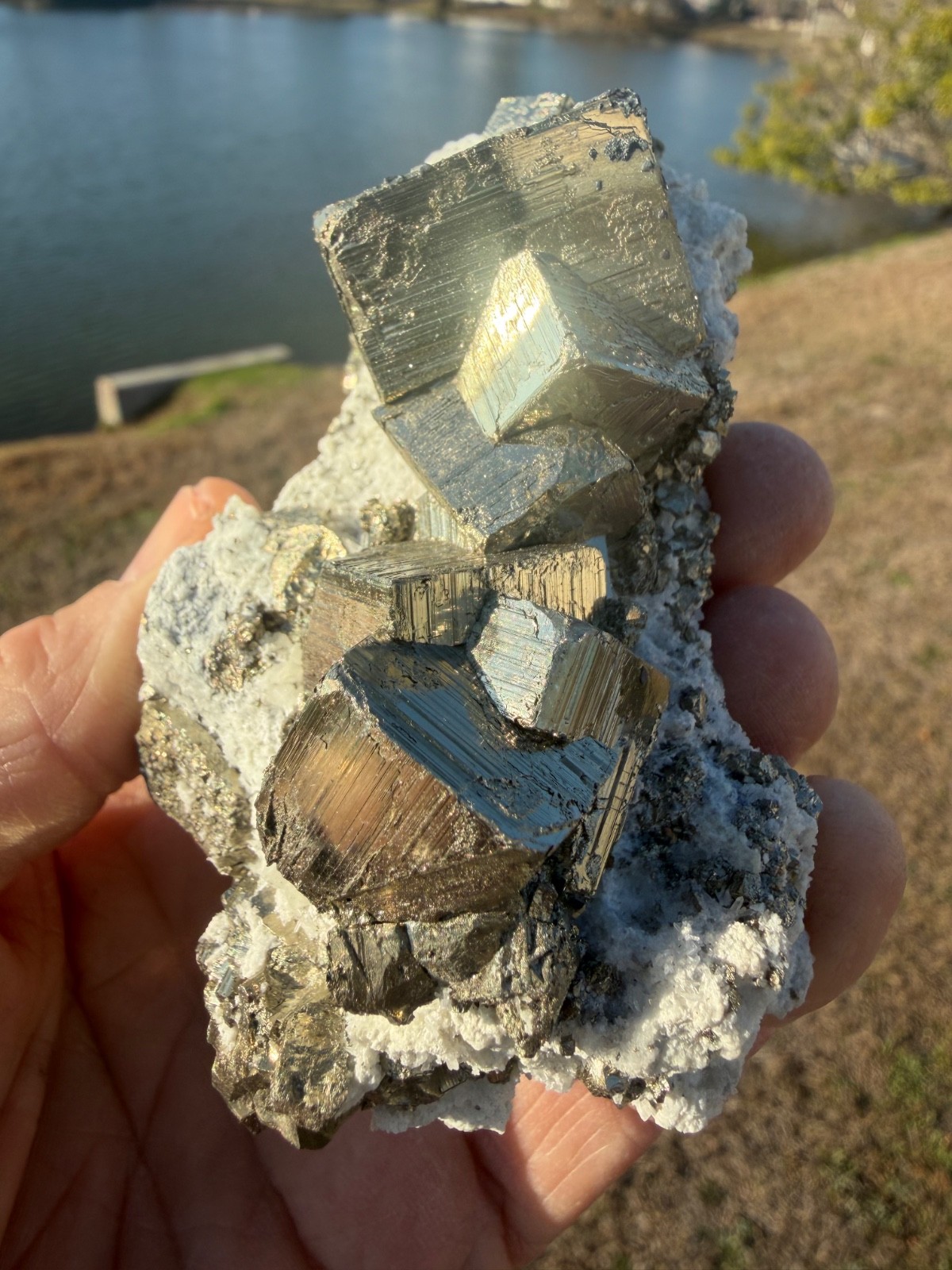 AAA PYRITE Crystal CUBE Cluster Huanzala Mine Peru 346gr 4″+ wide