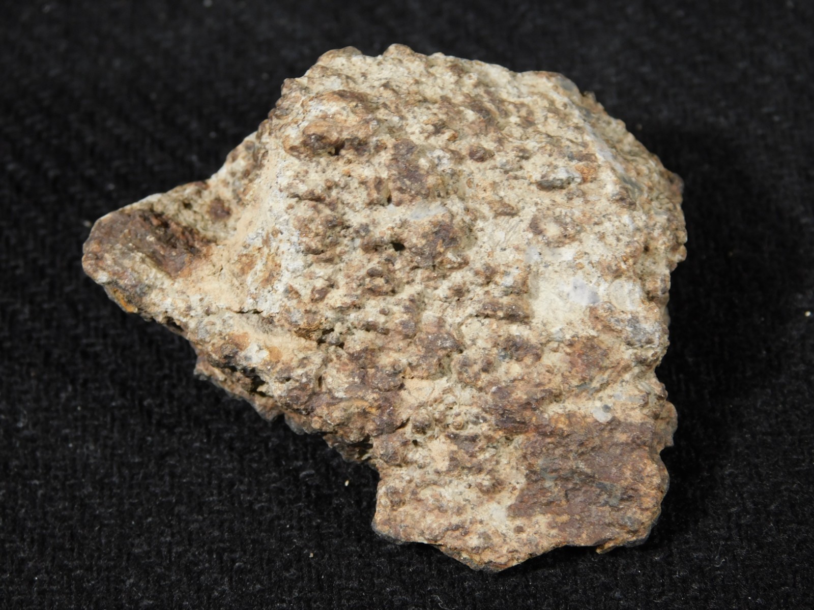 Classified NWA 8245 METEORITE 100% Natural FELL on Erfoud, Morocco 47.3gr