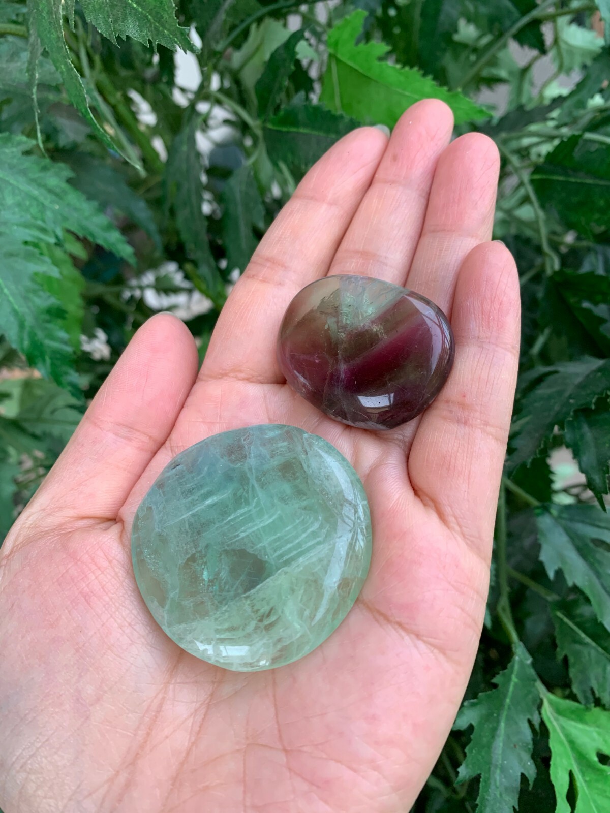 Fluorite Smooth Stone,1.5″-2″ Polished Fluorite Palm Stone, Wholesale Bulk Lot