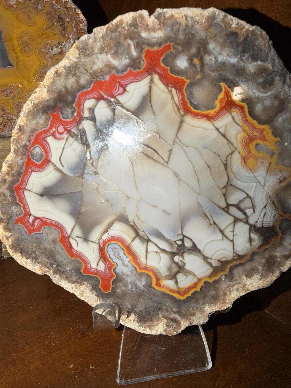 LARGE 1LB 12OZ Fire Kentucky Agate With Dark Fracture Lines Brilliant Contrast