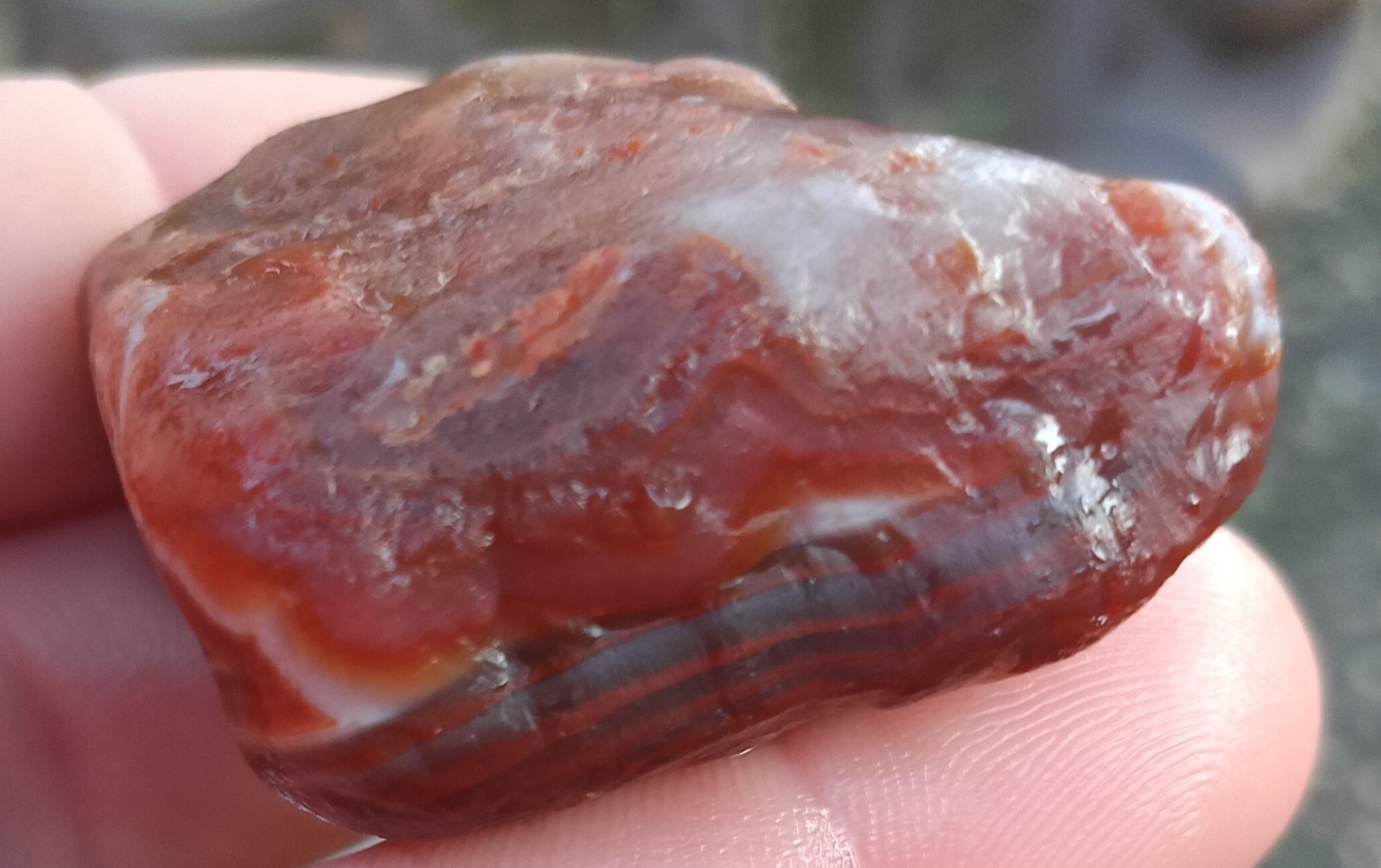 Lake Superior Agate Minnesota